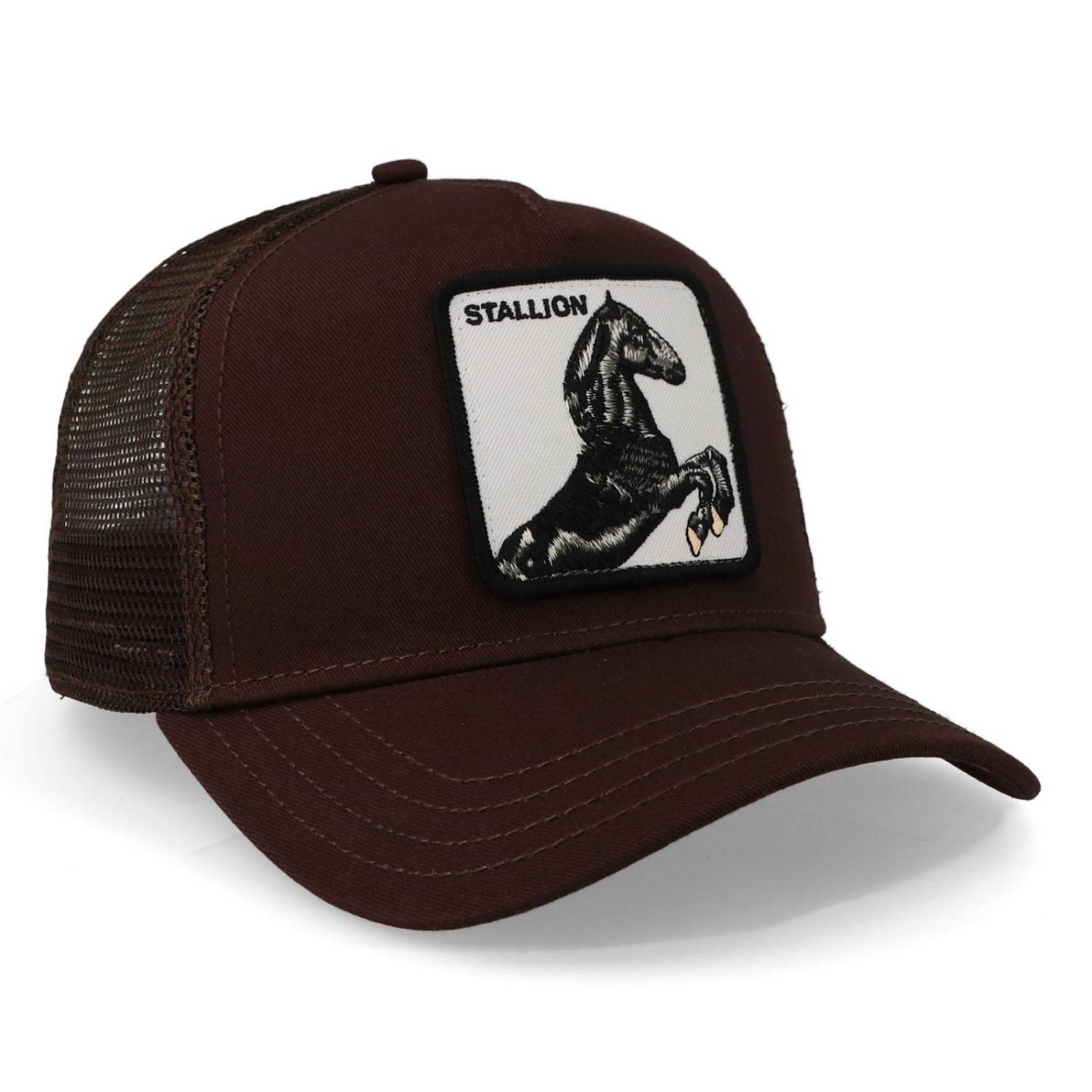 Gorra Goorin Bros 1010393 The Stallion Café Unitalla 
