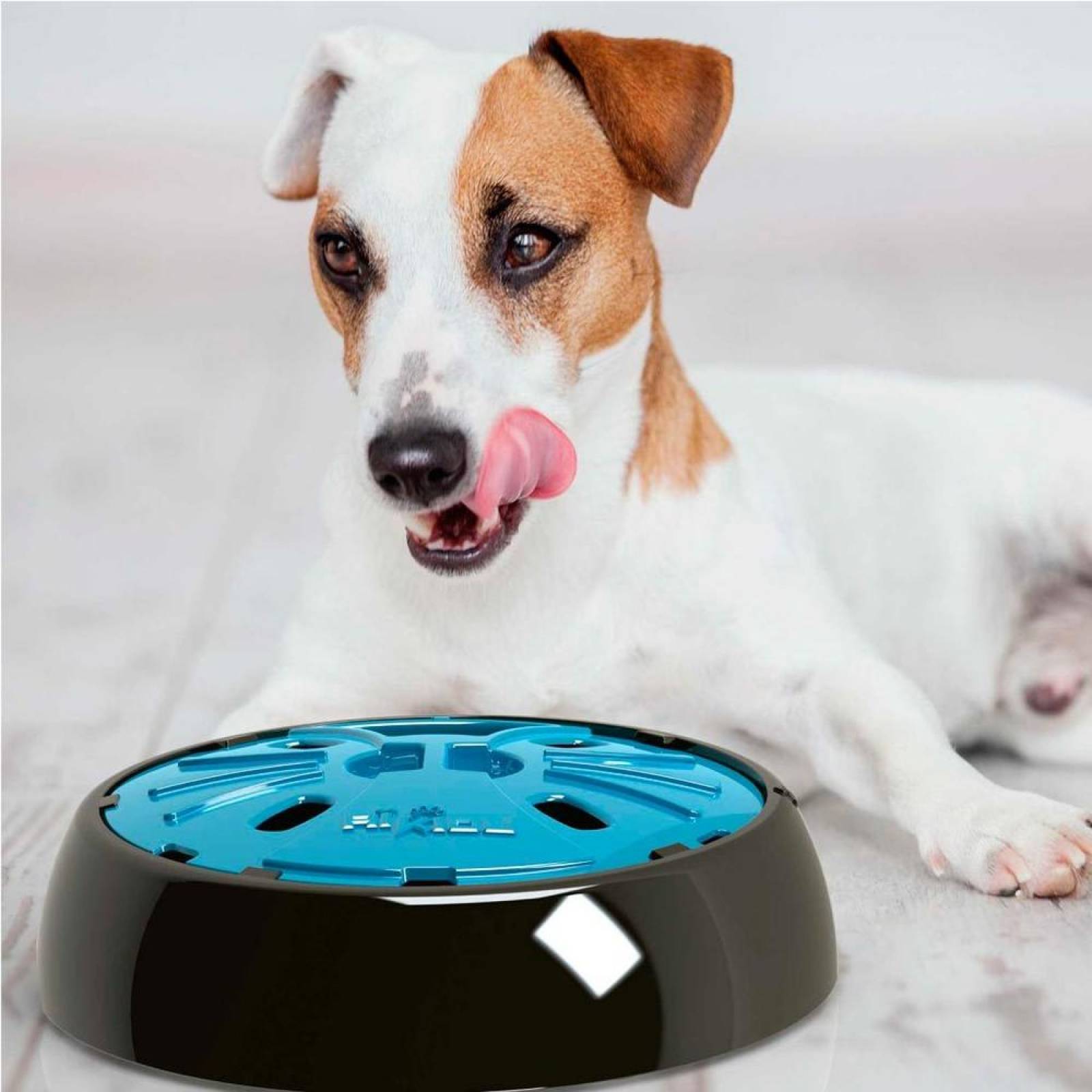 Junior Dog Slow Feeder Plato para Perro de Lenta Alimentación Azul