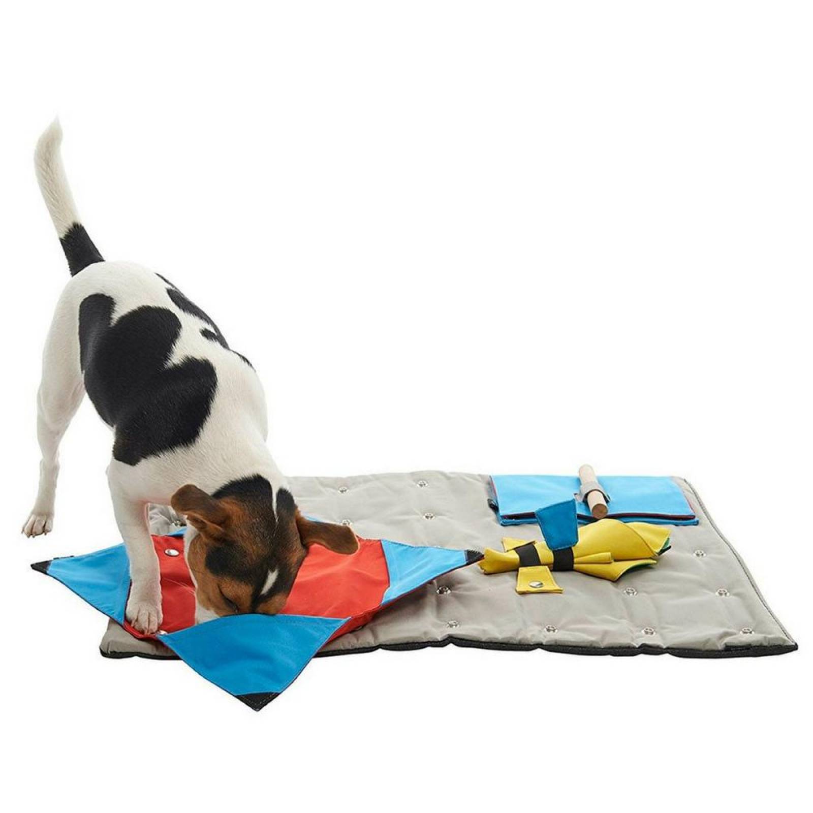 Buster Activity Mat - Tapete de Entrenamiento e Interactivo 