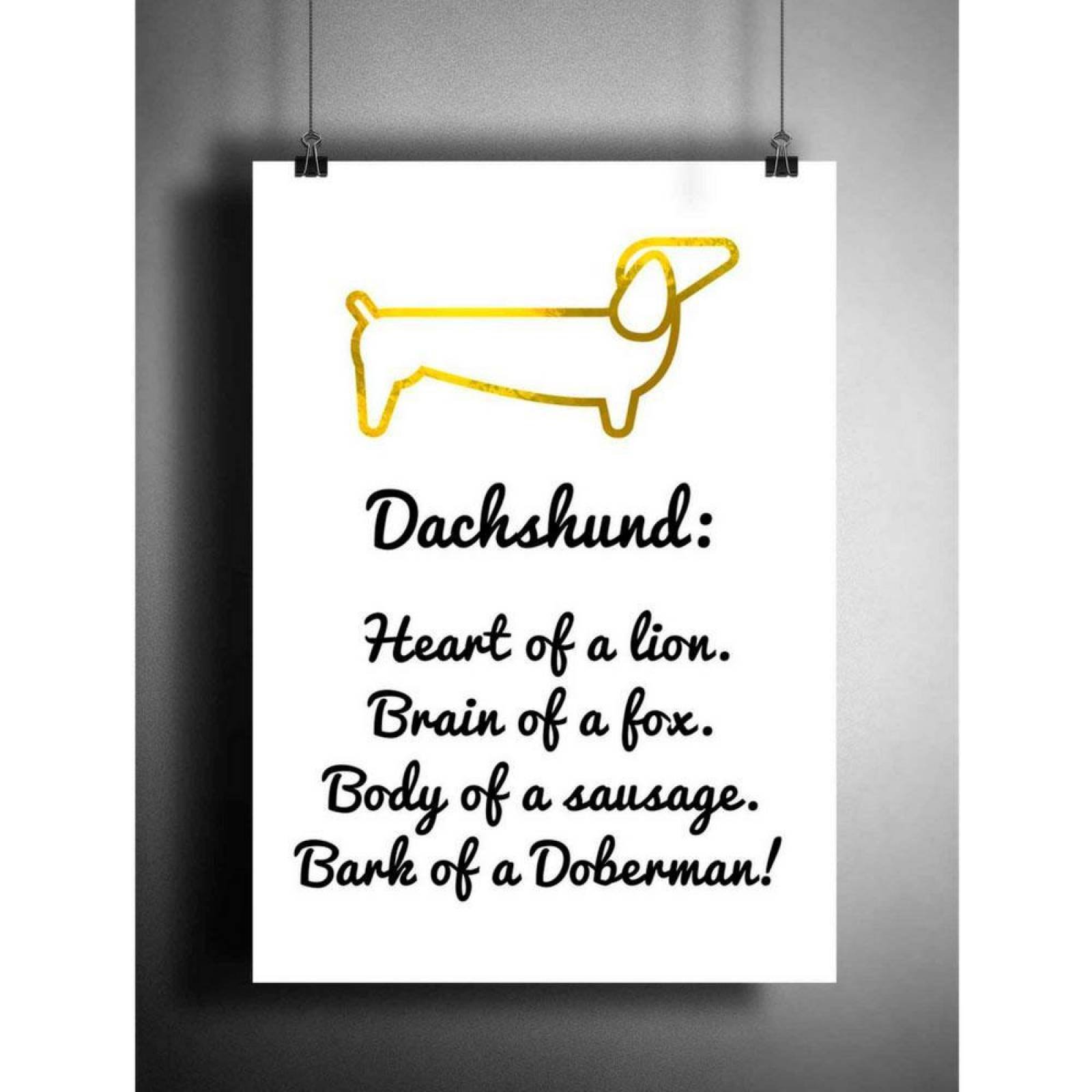 Poster Decorativo - Dachshund 