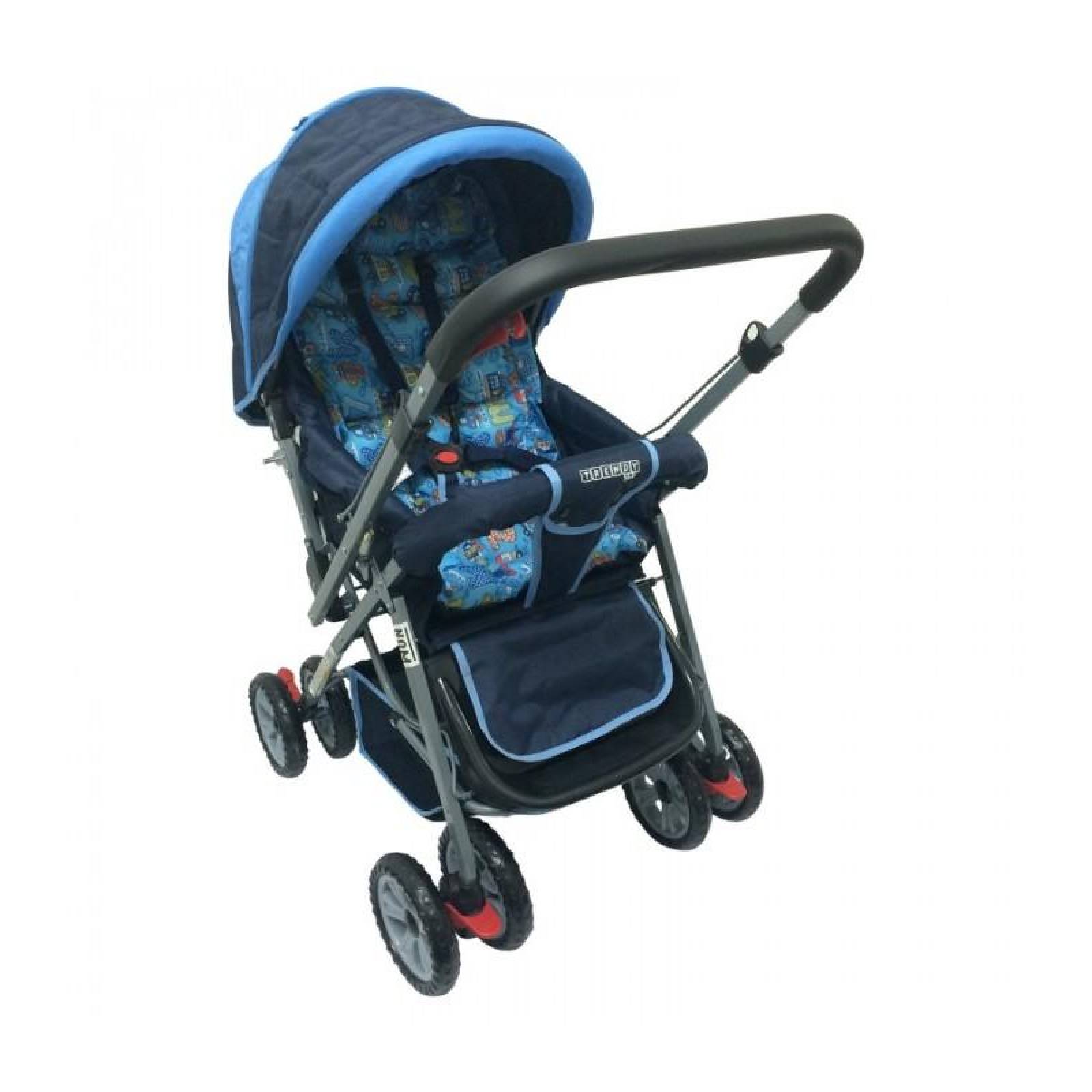 Carriola para bebés reversible Trendy Kids  - Azul