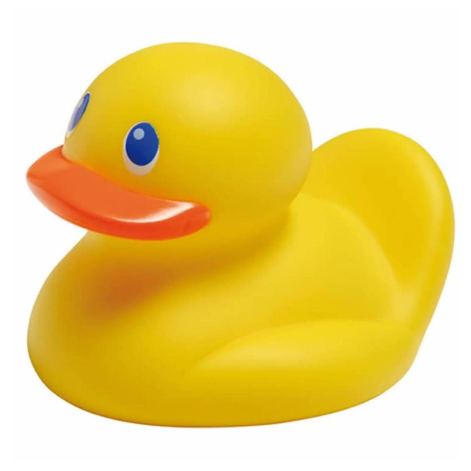 Termometro de agua Pato 