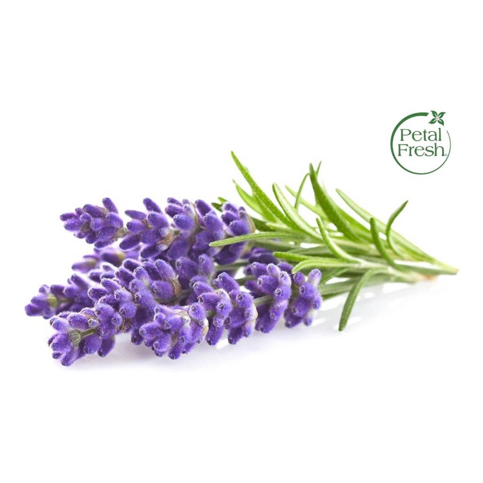 Petal Fresh Shampoo  Lavanda Anti frizz e Hidratación