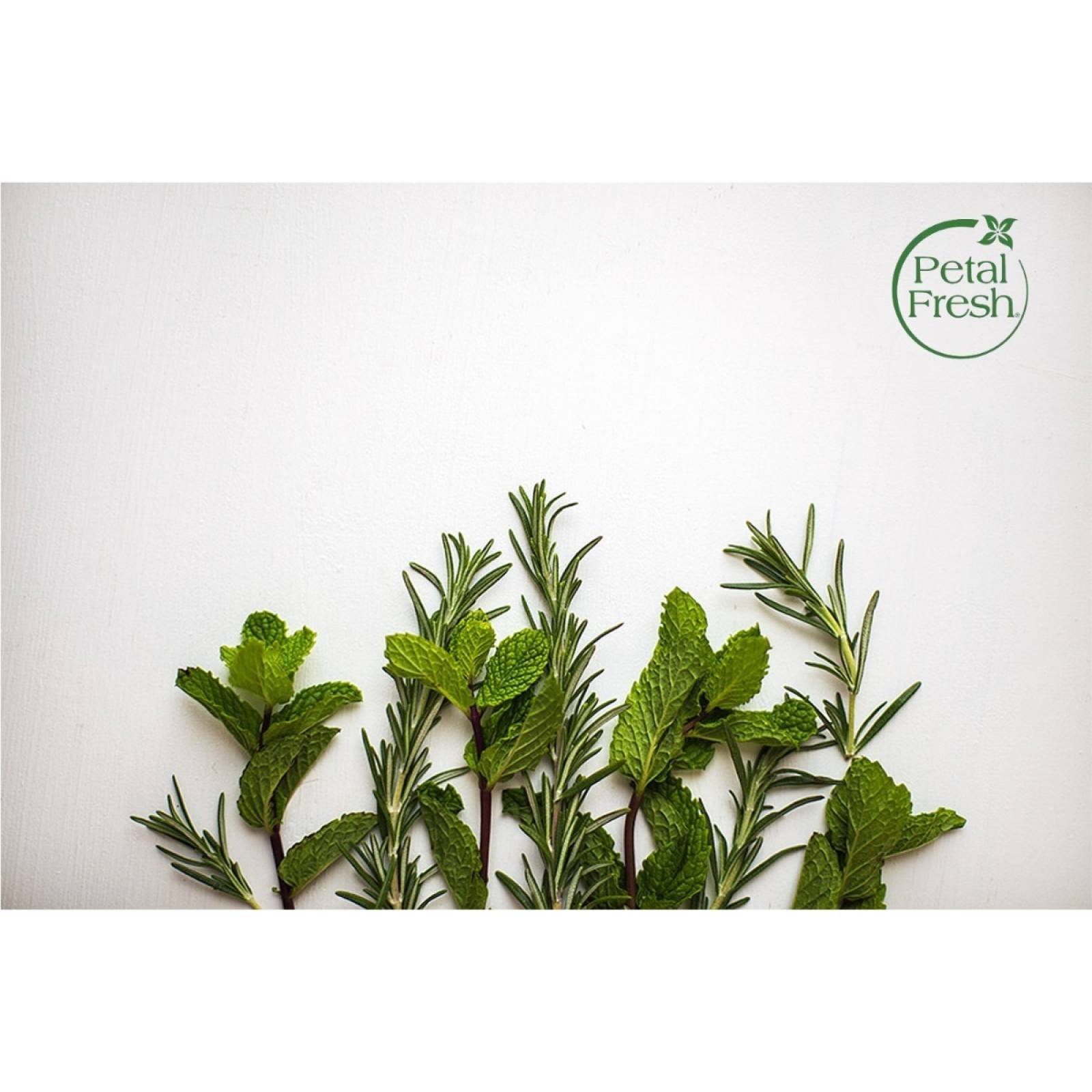 Petal Fresh Shampoo Romero Y Menta Voluminizador Organico