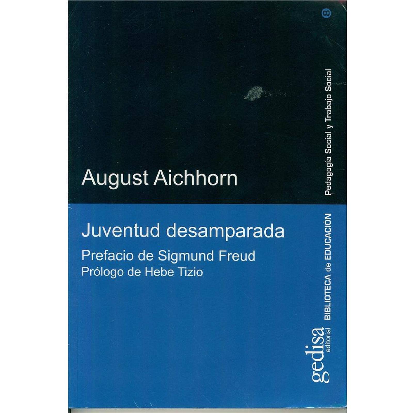 Juventud desamparada 