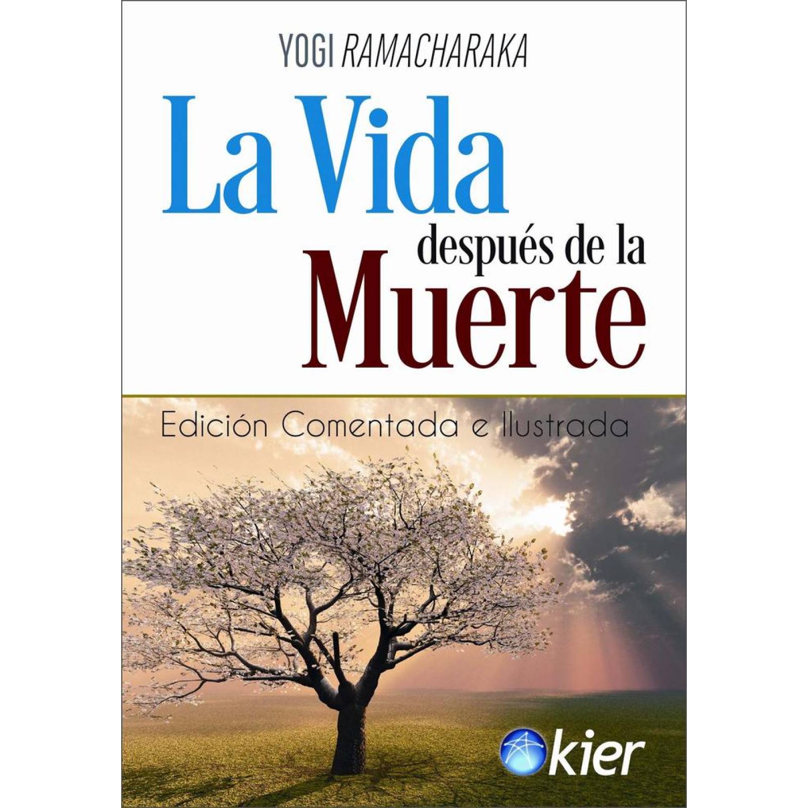 La vida después de la muerte