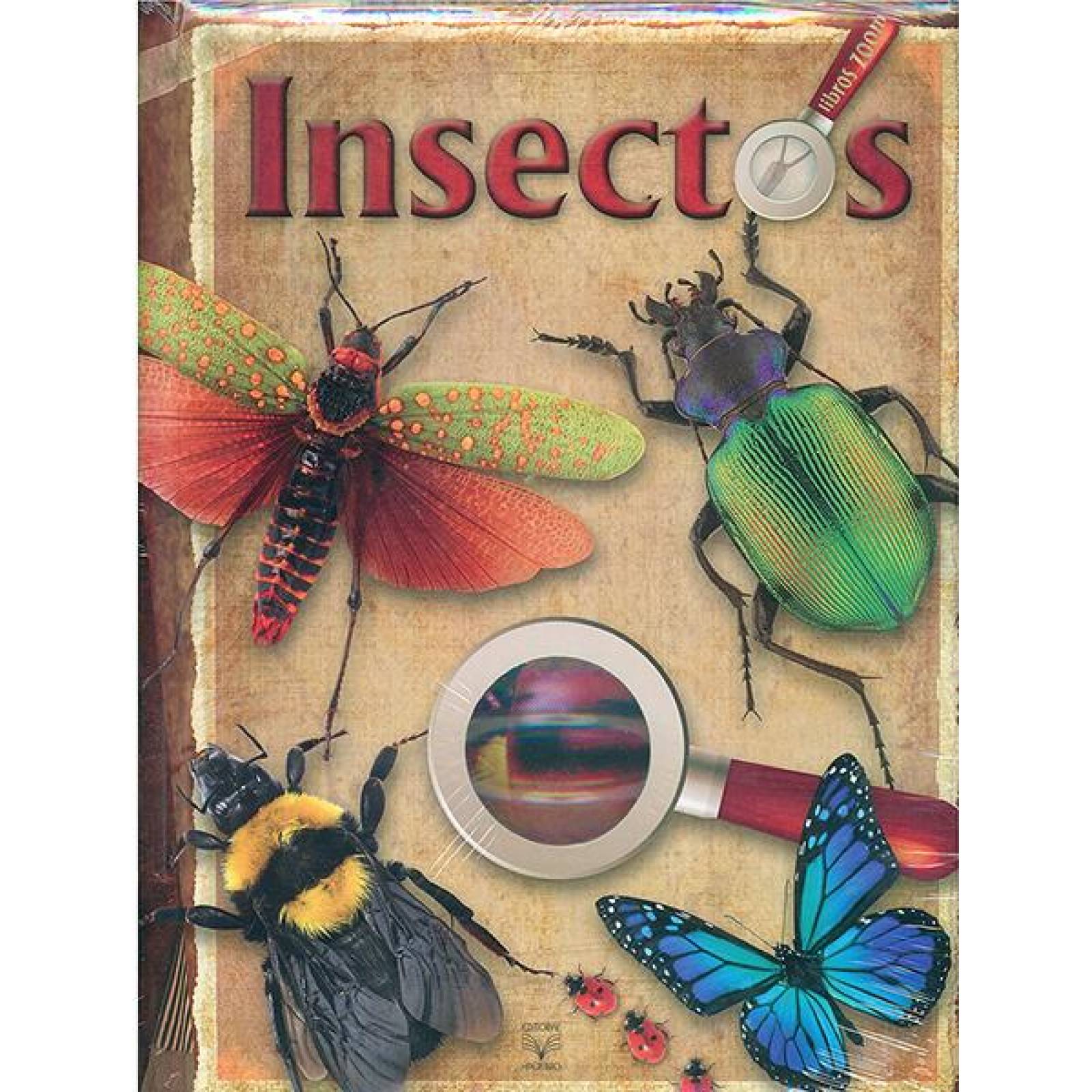 Libro zoom -insectos 