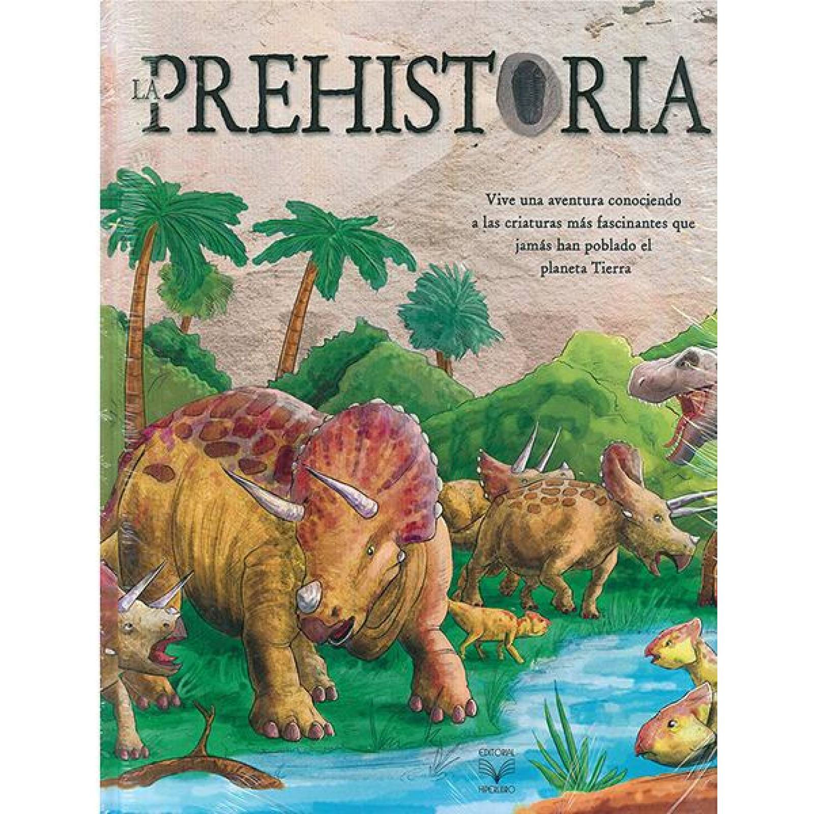 Descubriendo: la prehistoria 