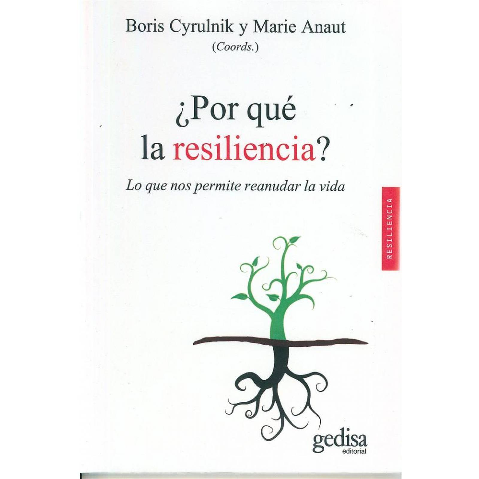 ¿ Por qué la resiliencia ? 