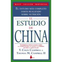 El Estudio De China