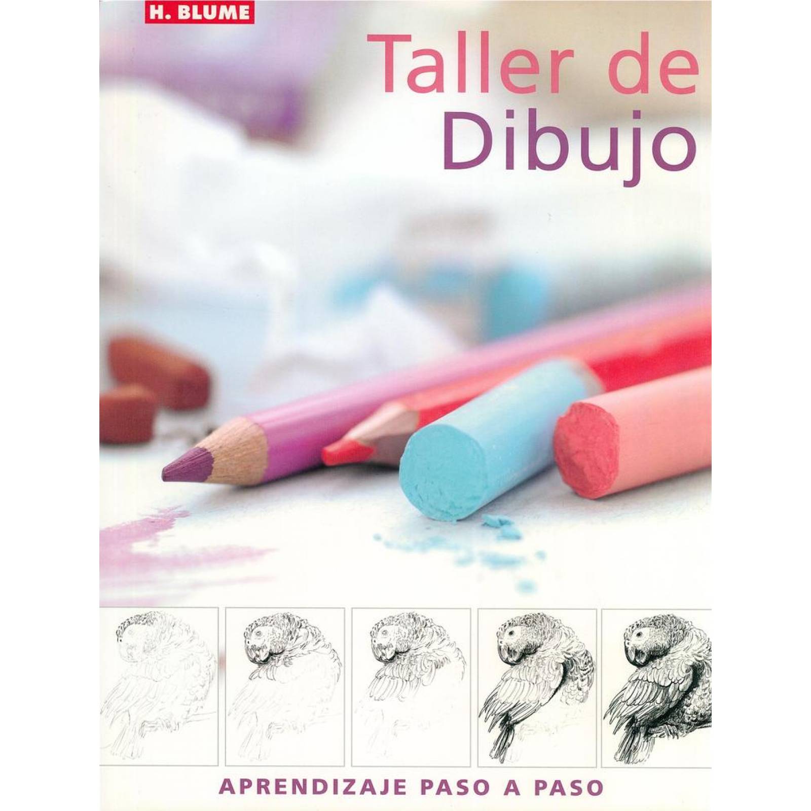 TALLER DE DIBUJO 