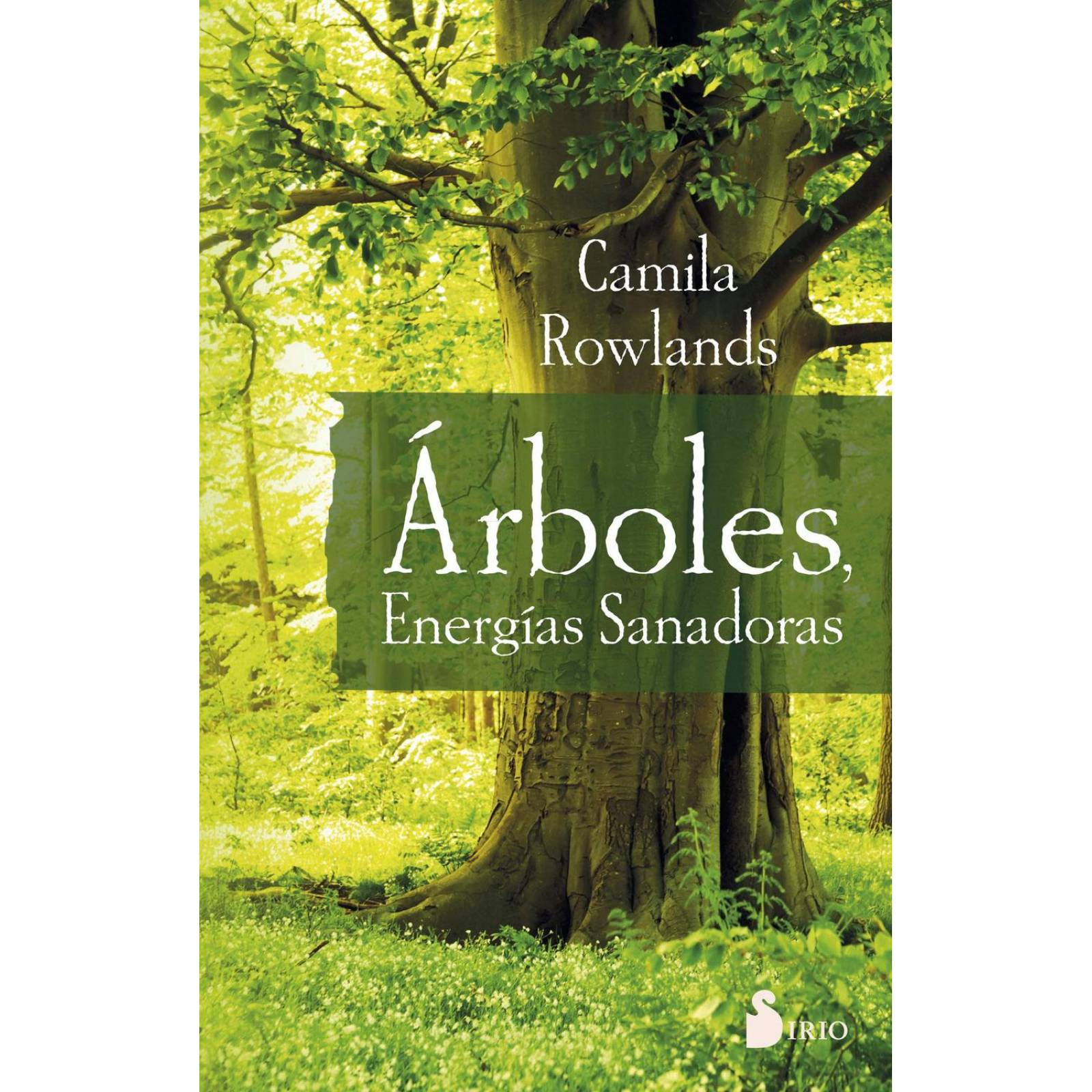ARBOLES, ENERGIAS SANADORAS 