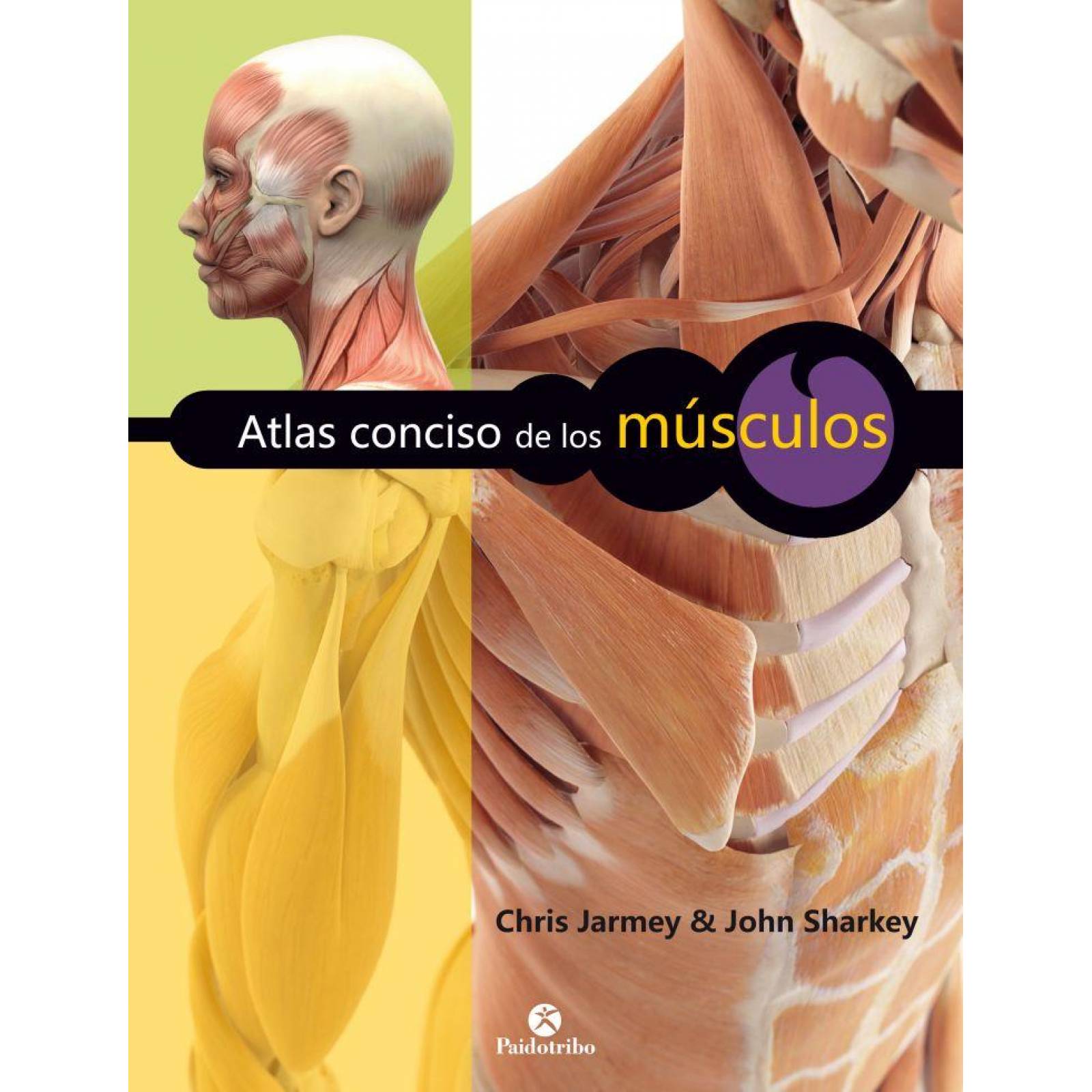 Atlas conciso de los músculos 