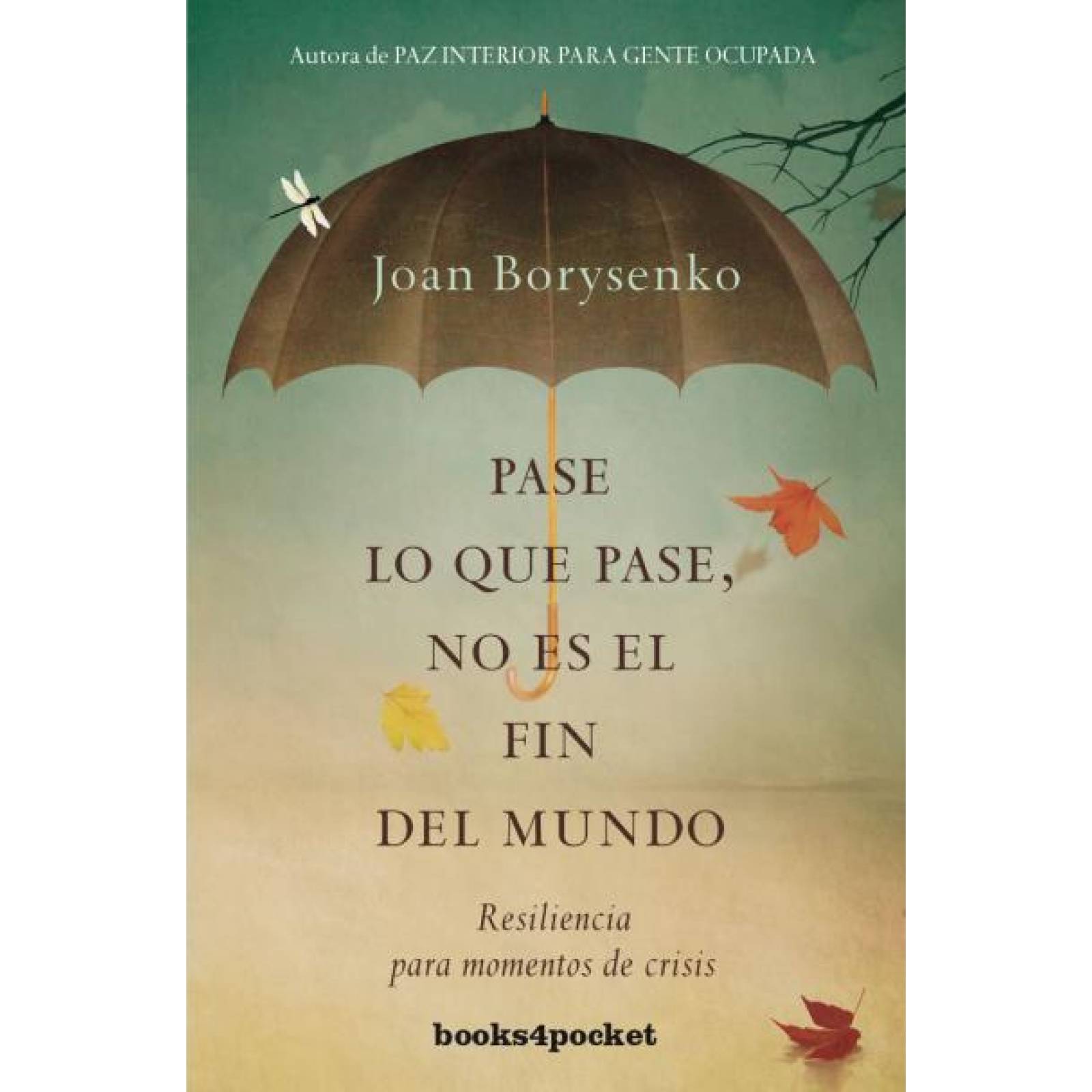 Pase Lo Que Pase No Es El Fin Del Mundo