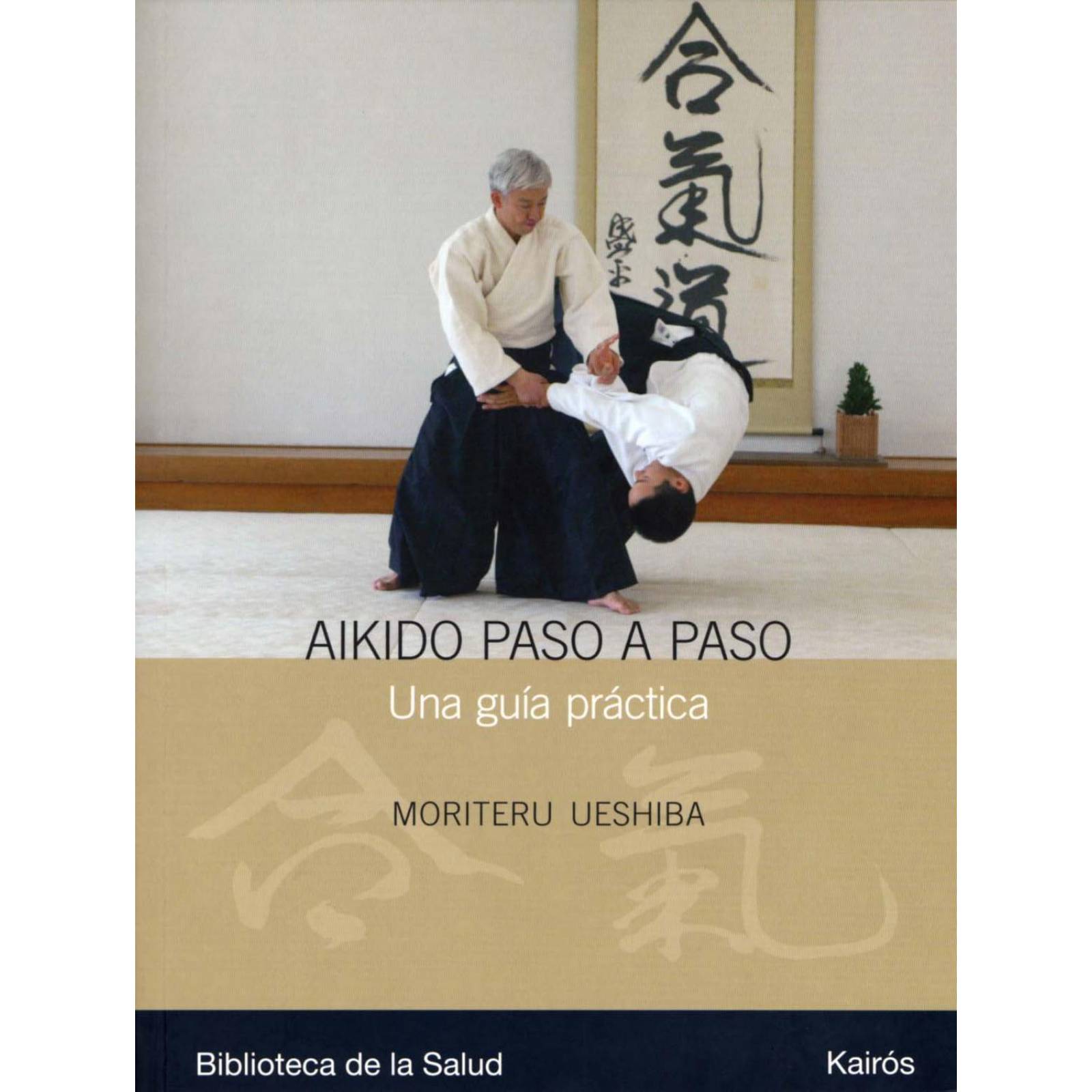 Aikido paso a paso