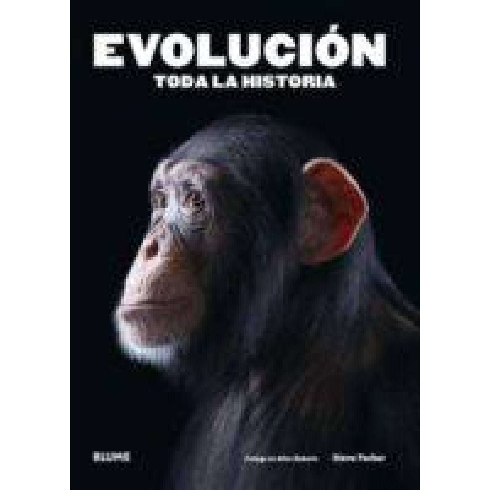 EVOLUCION. TODA LA HISTORIA 