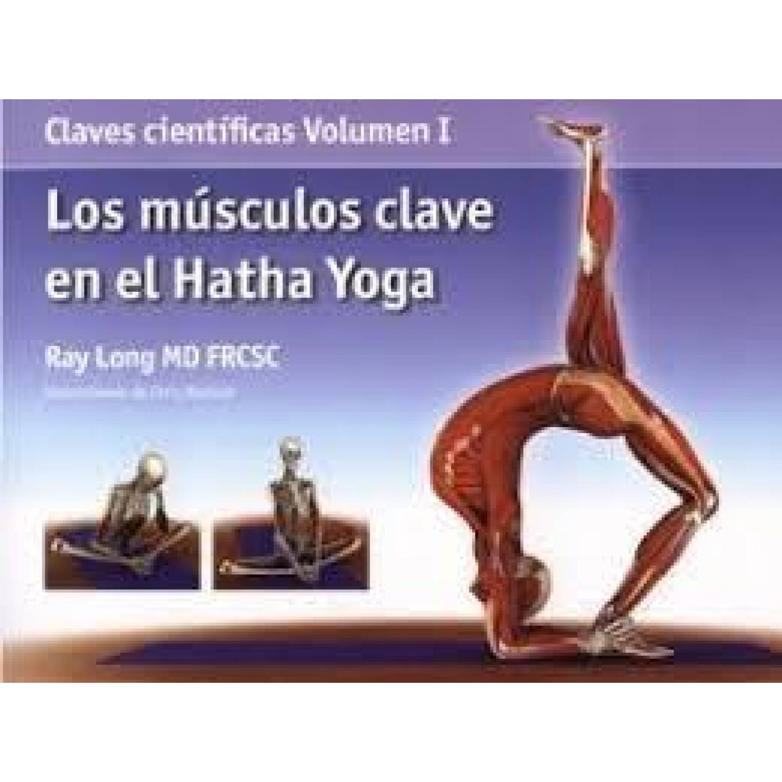 MUSCULOS CLAVE EN EL HATHA YOGA 