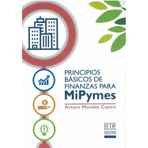 Principios basicos de fianzas para MiPymes 