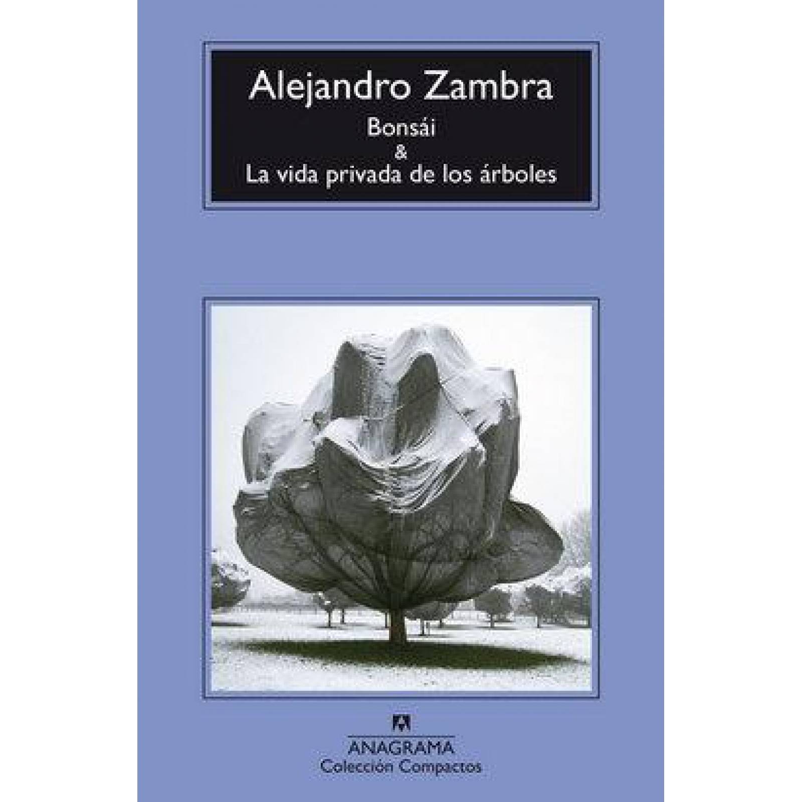 Bonsái & La vida privada de los árboles
