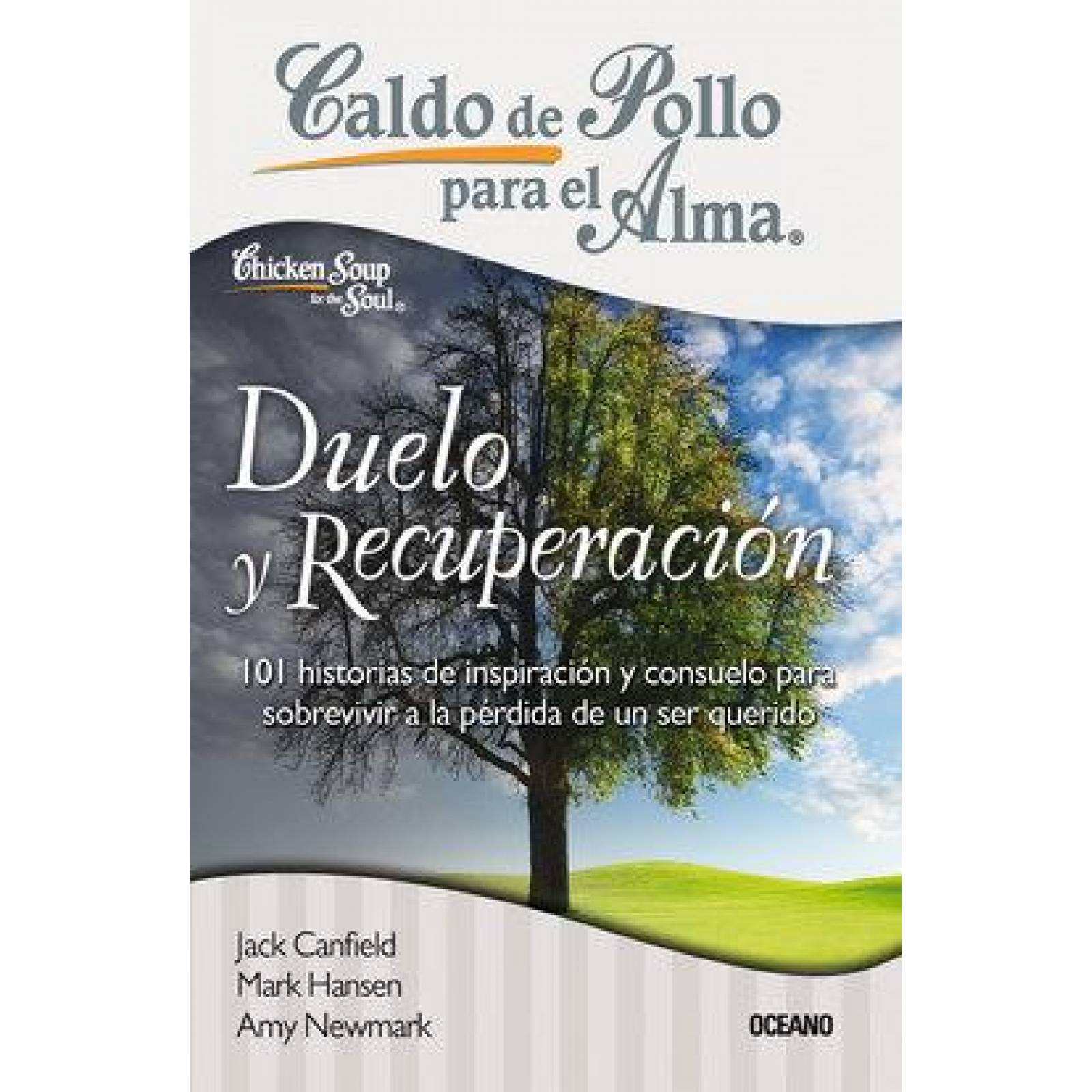 Caldo de pollo para el alma: duelo y recuperación 