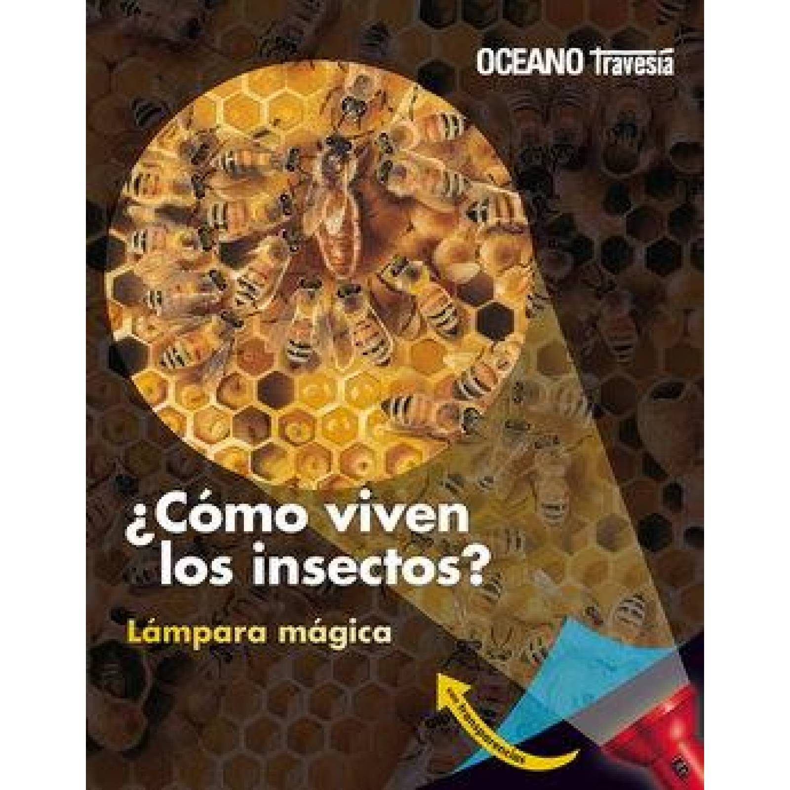 ¿Cómo viven los insectos?