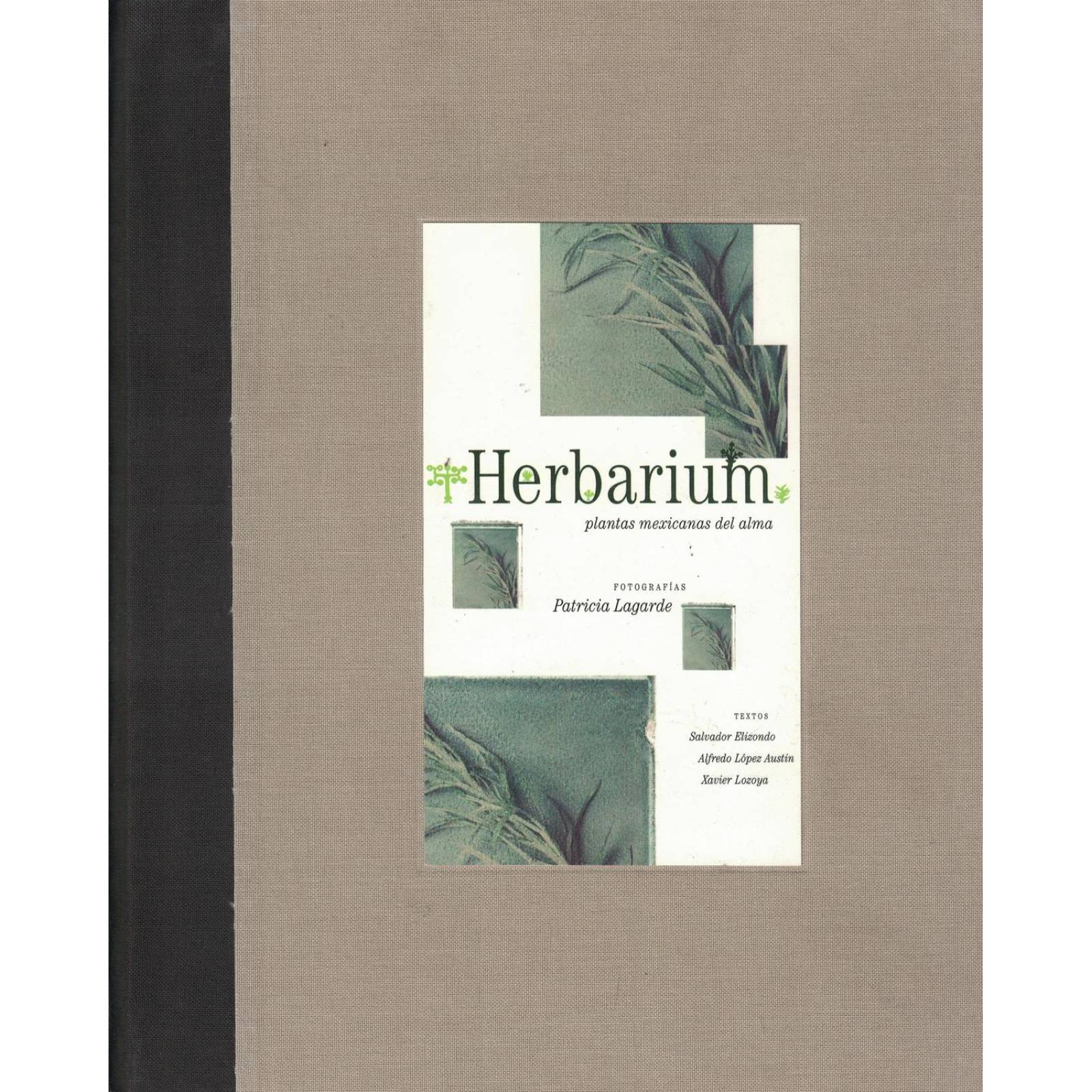 HERBARIUM PLANTAS MEXICANAS DEL ALMA 