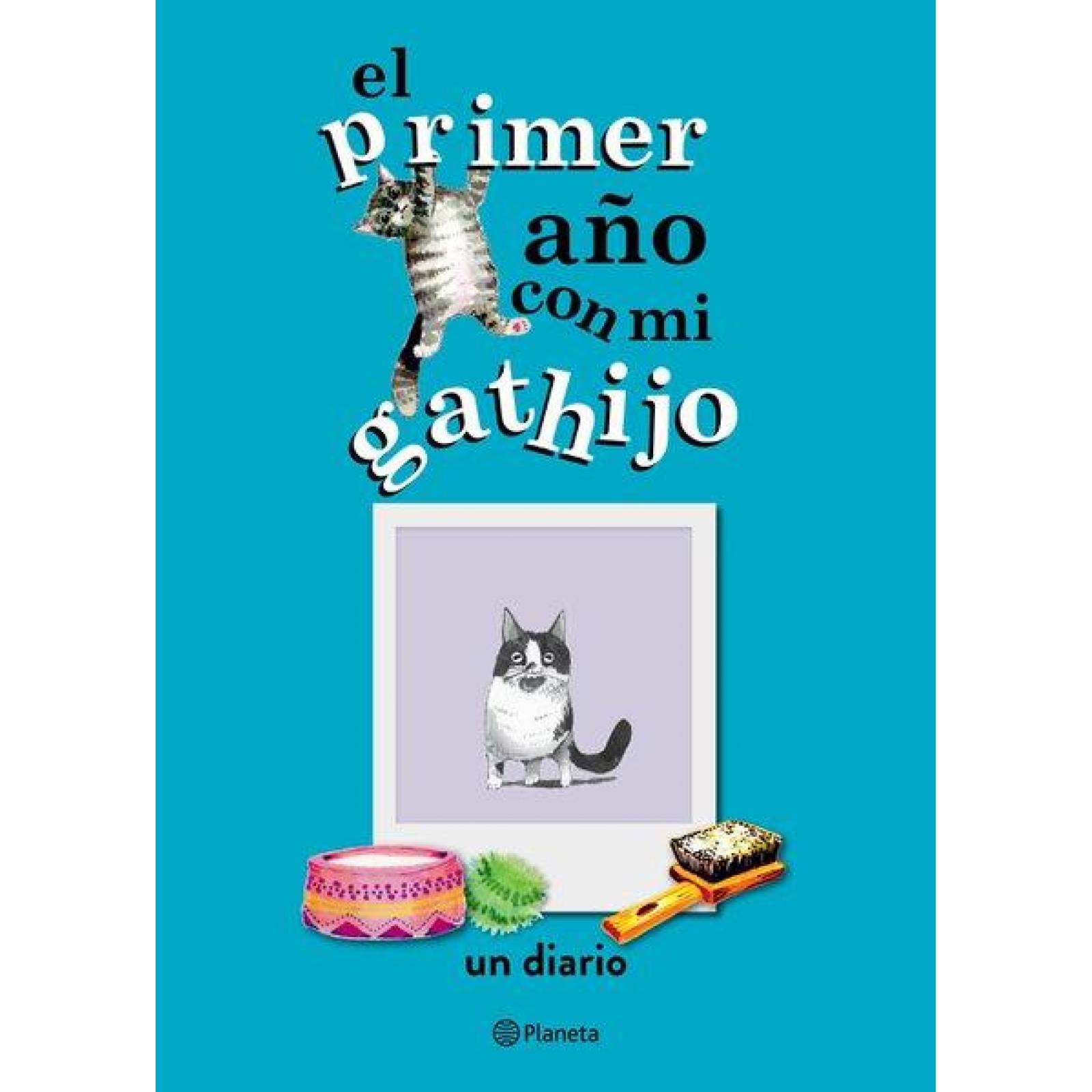 El primer año con mi gathijo