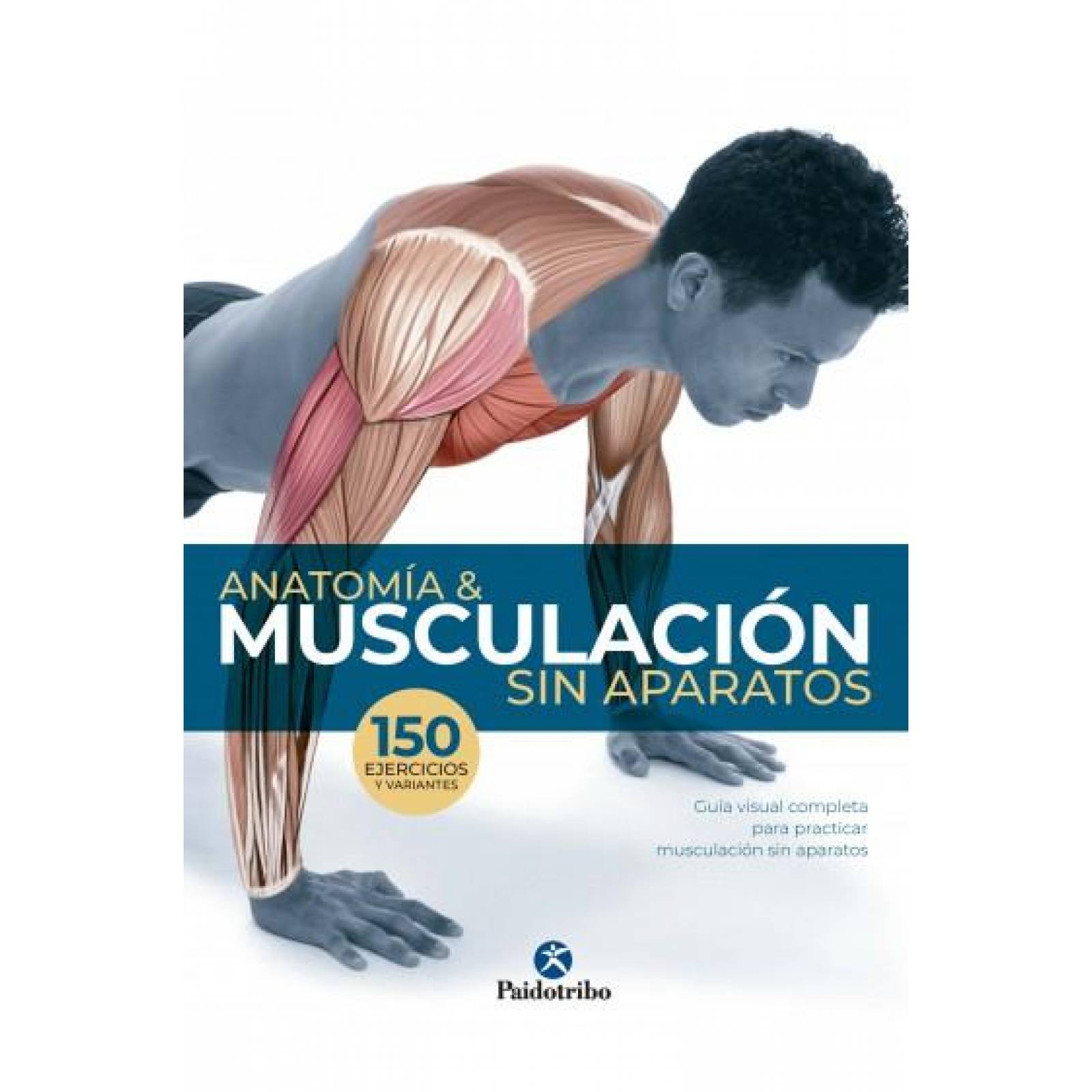 Anatomia & musculación sin aparatos 