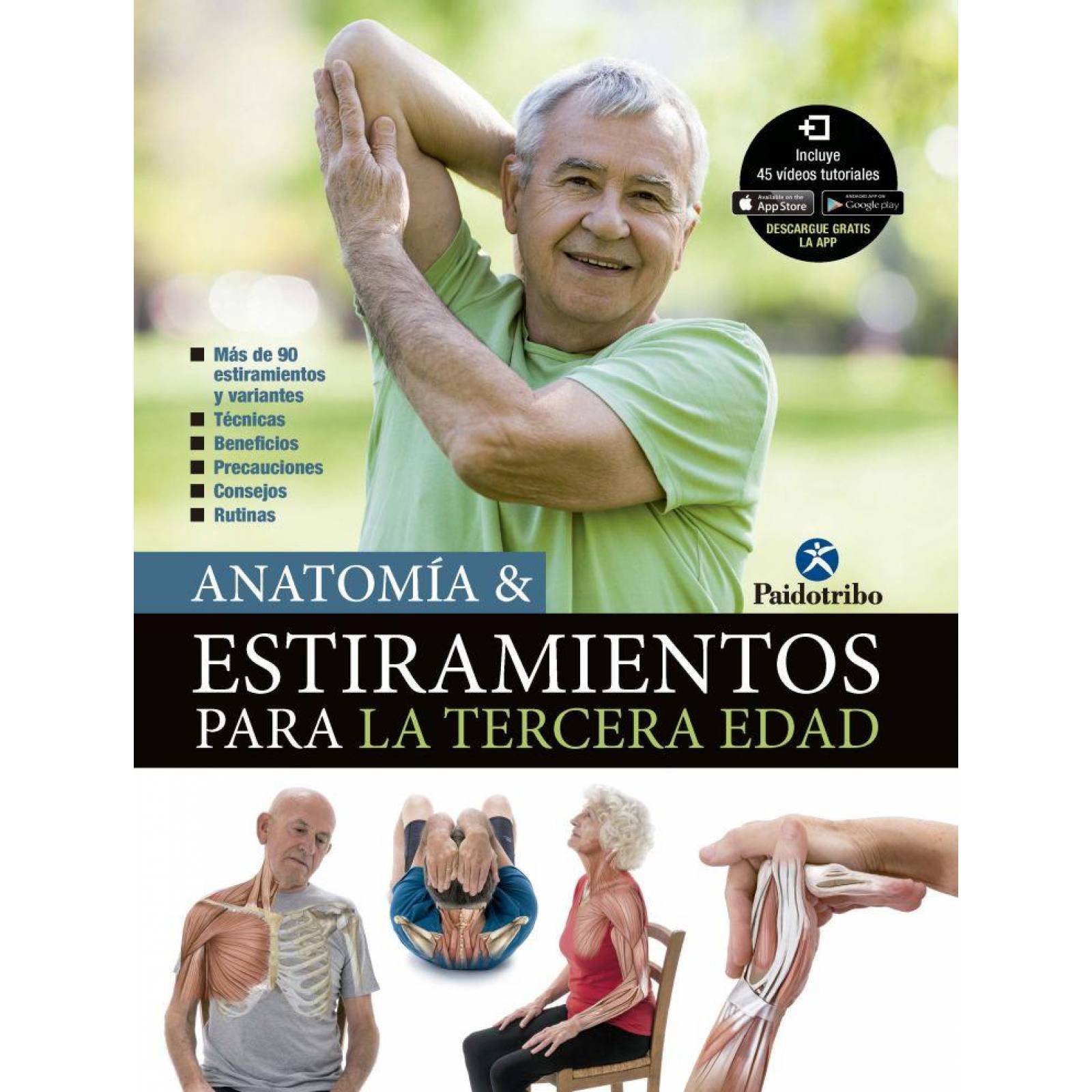 Anatomia & estiramientos tercera edad 