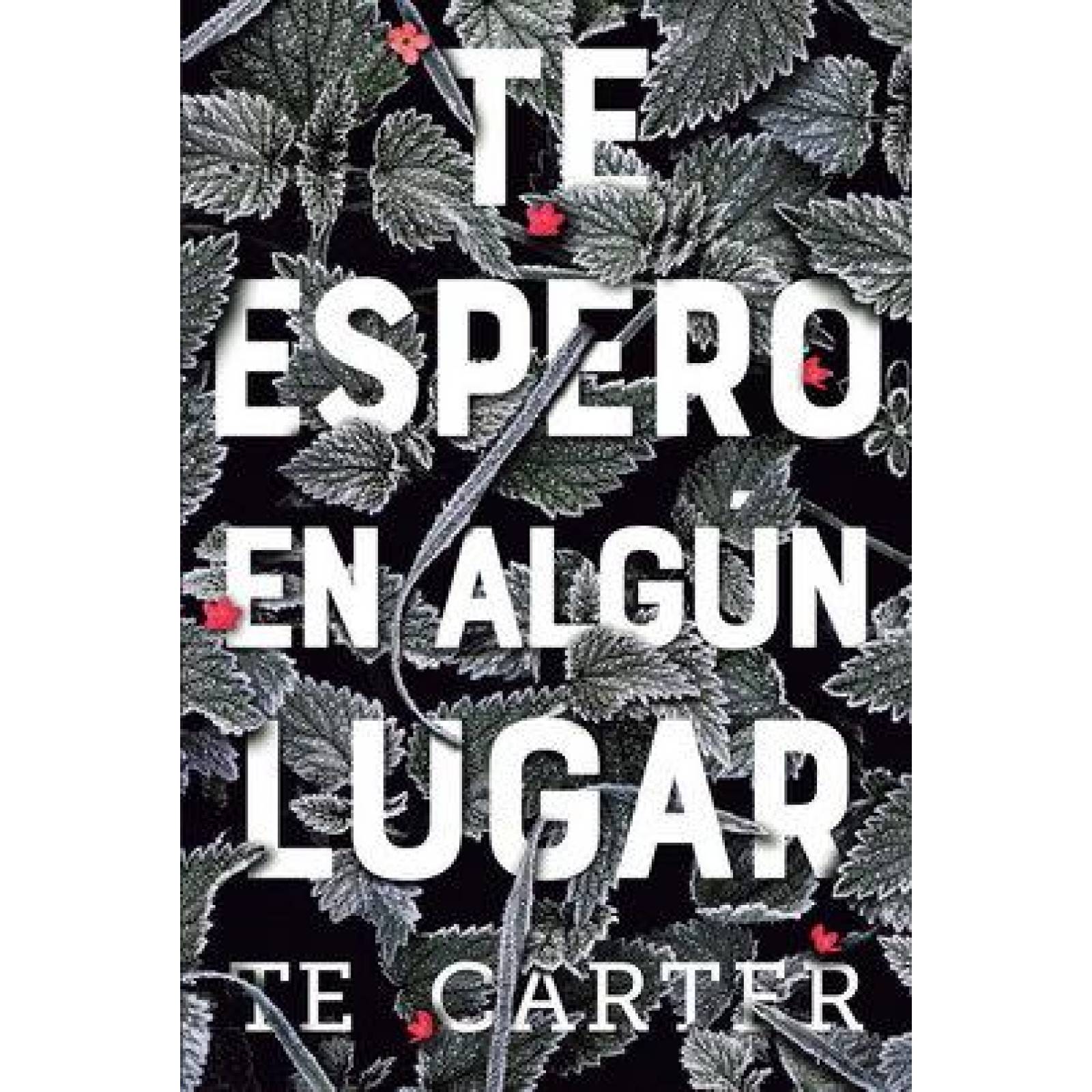 Te espero en algún lugar