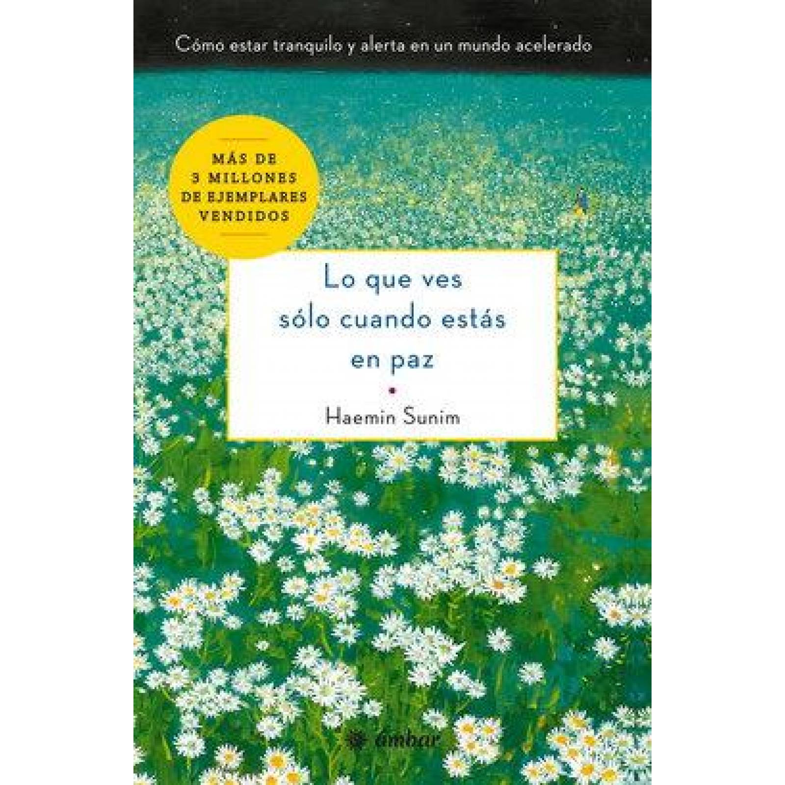 Lo que ves sólo cuando estás en paz. Cómo estar tranquilo y alerta en un mundo acelerado