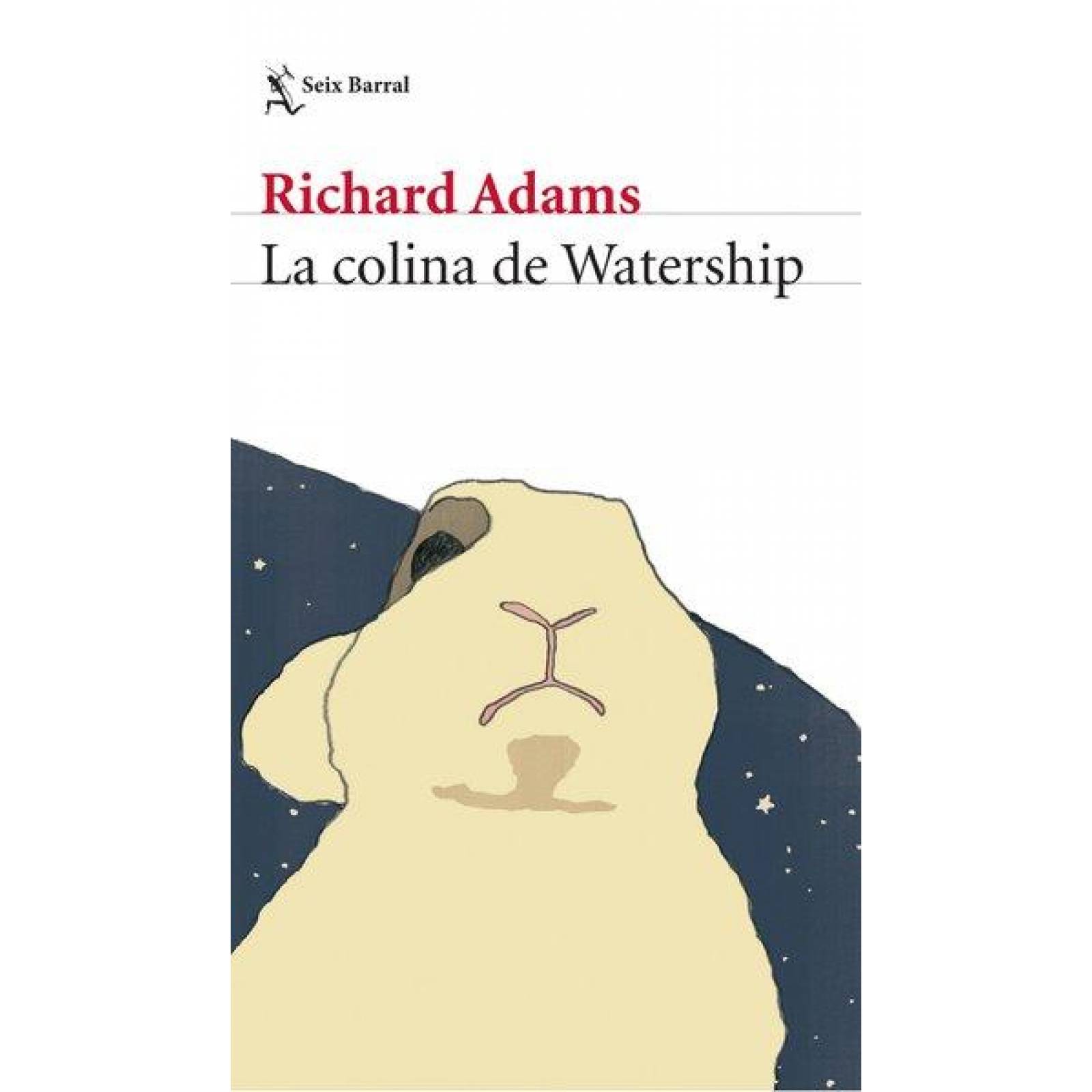 LA COLINA DE WATERSHIP 