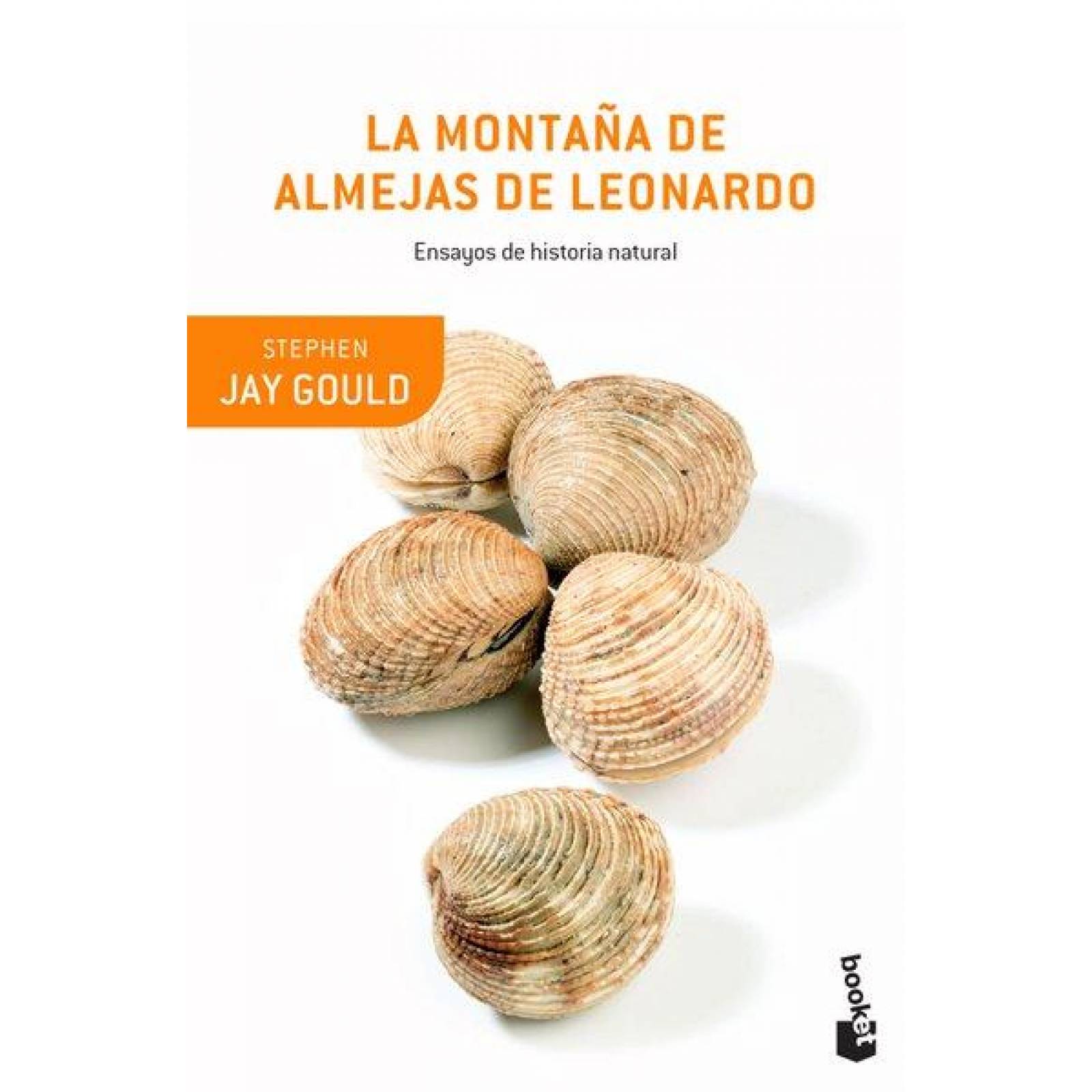 La Montaña De Almejas De Leonardo 