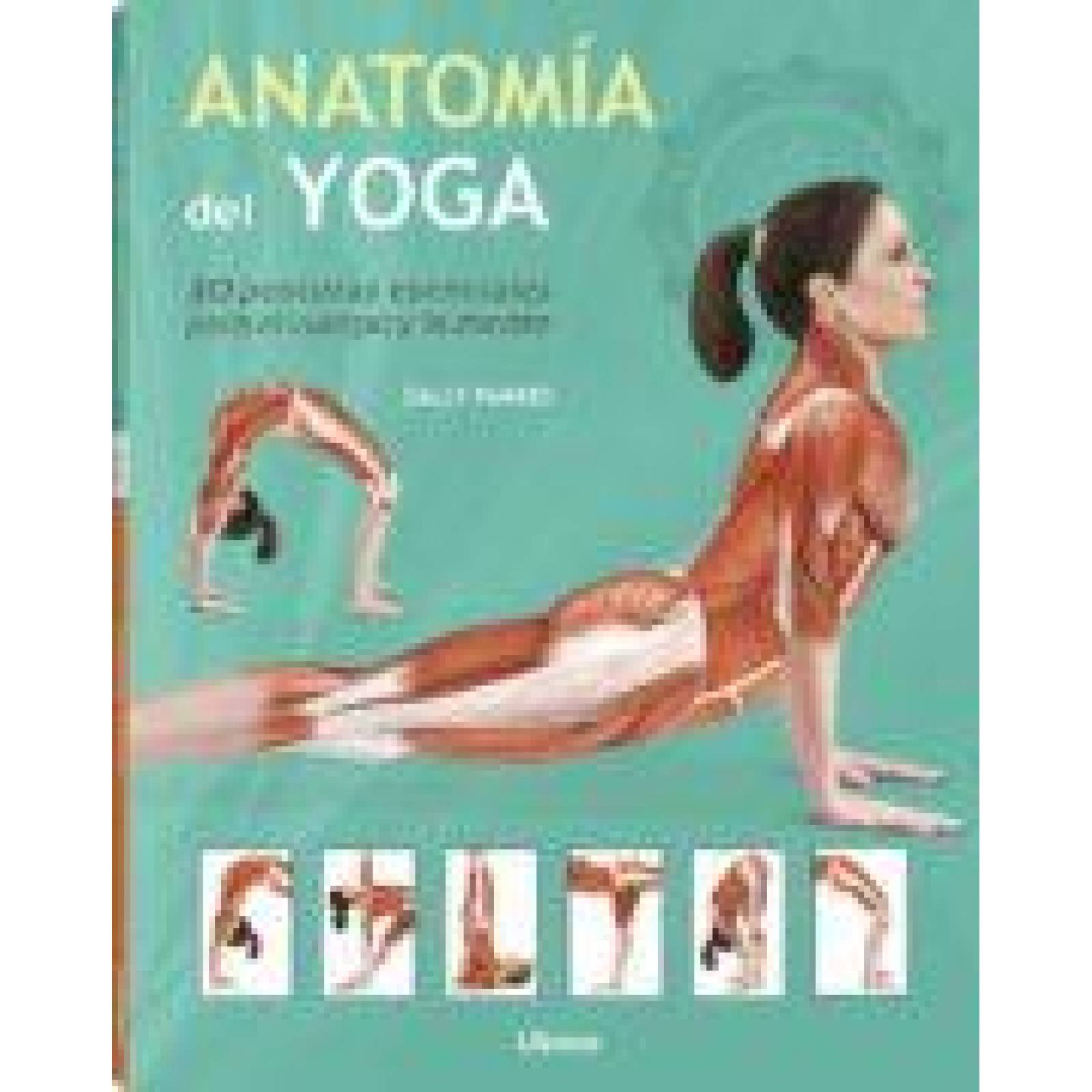 ANATOMIA DEL YOGA 