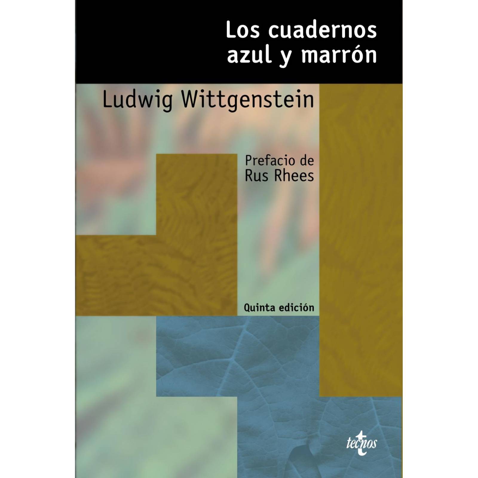 Los cuadernos azul y marrón 