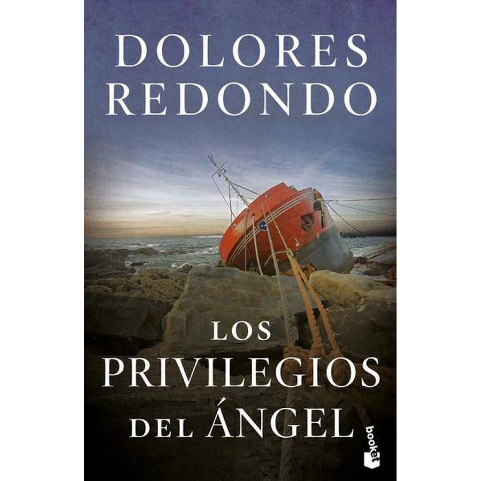 LOS PRIVILEGIOS DEL ÁNGEL 