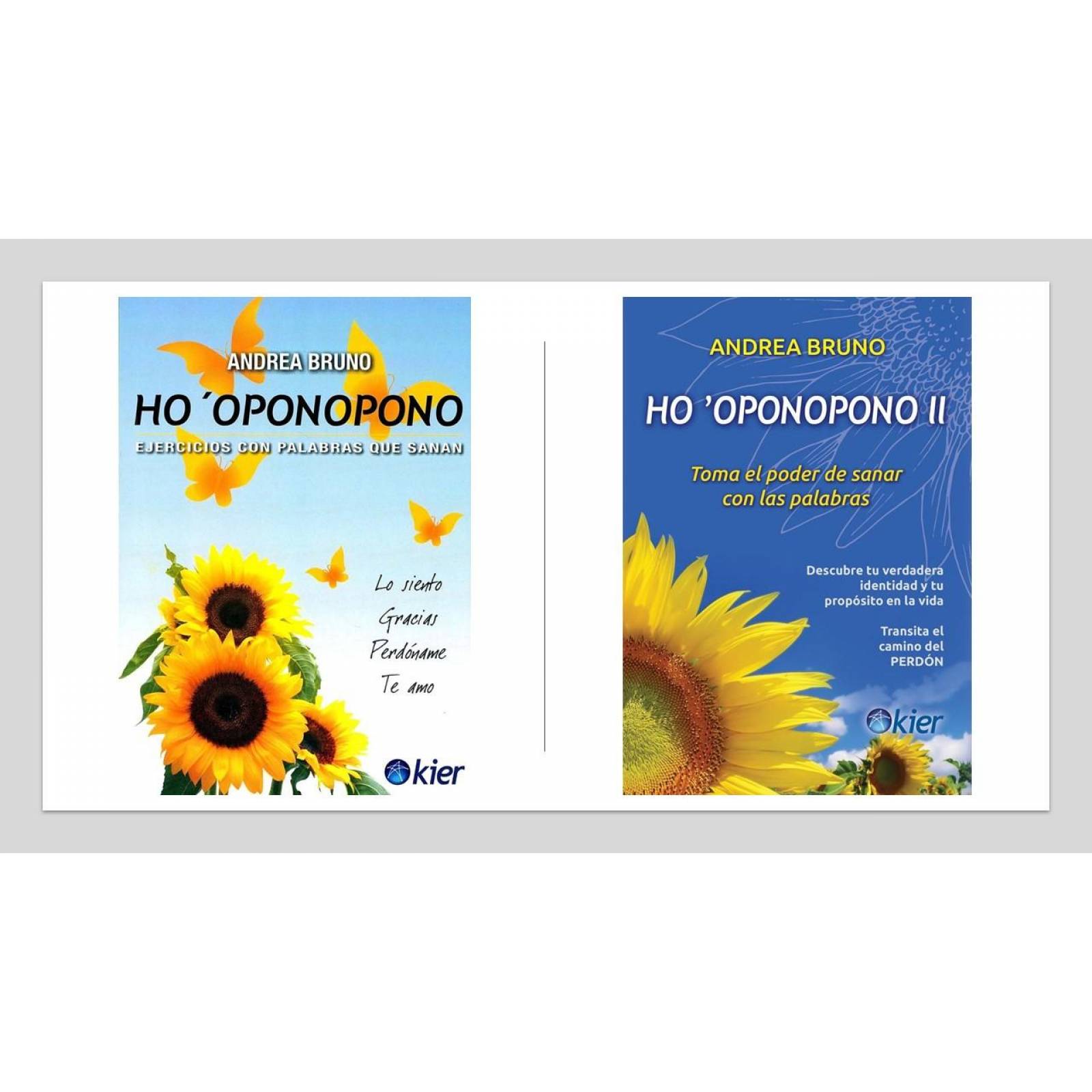 Pack Ho Oponopono Andrea Bruno Dos Libros 