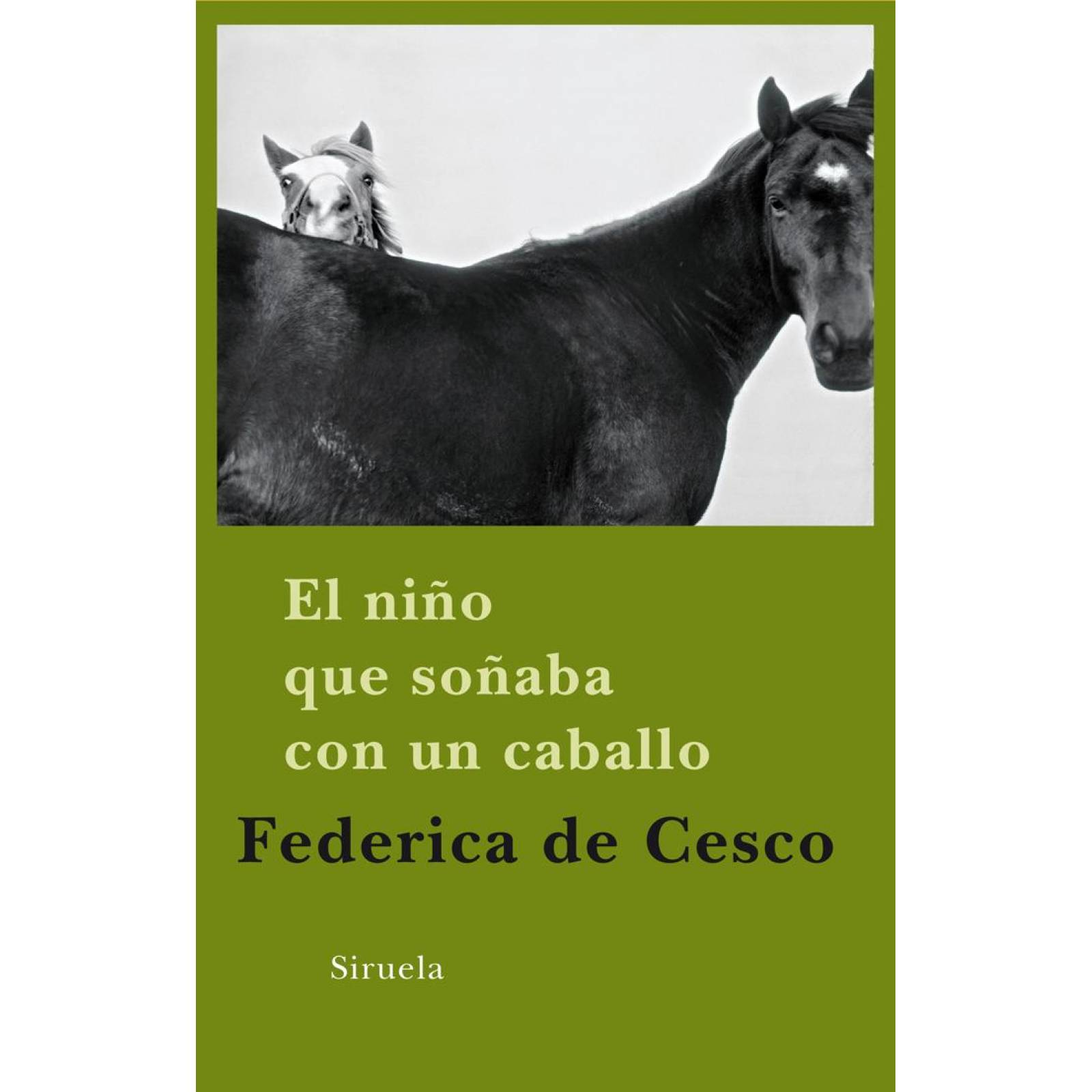 El niño que soñaba con un caballo 