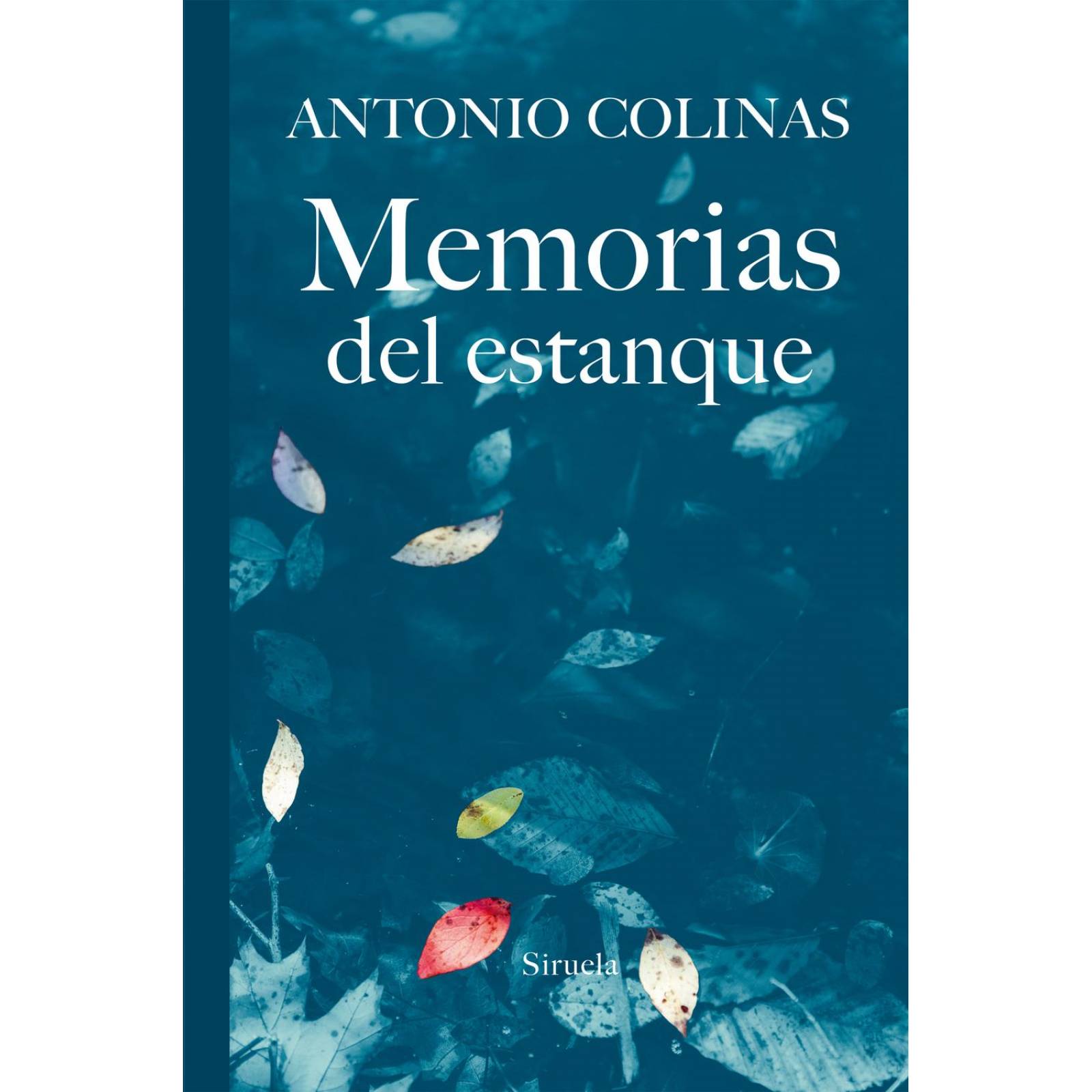 Memorias del estanque
