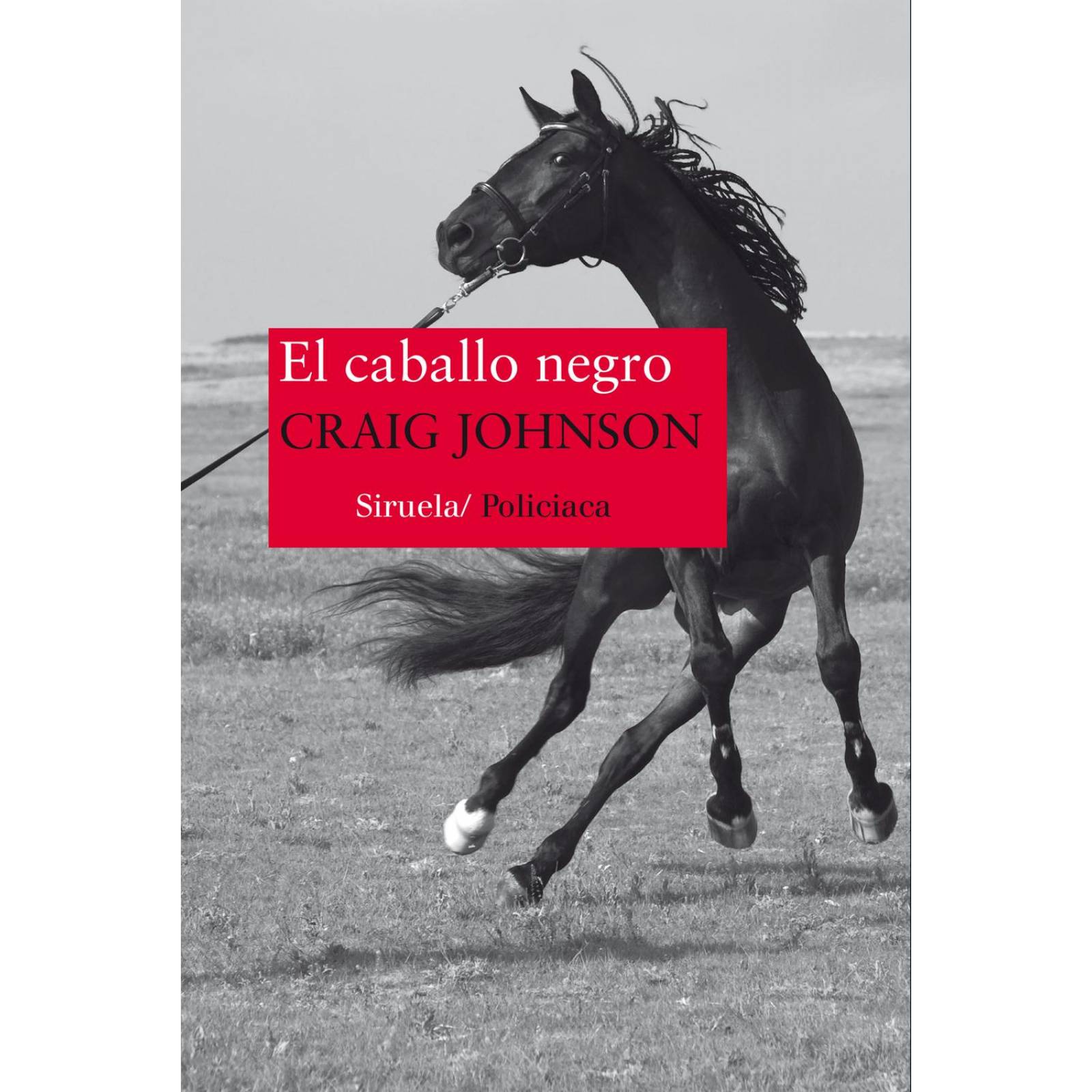 El caballo negro 