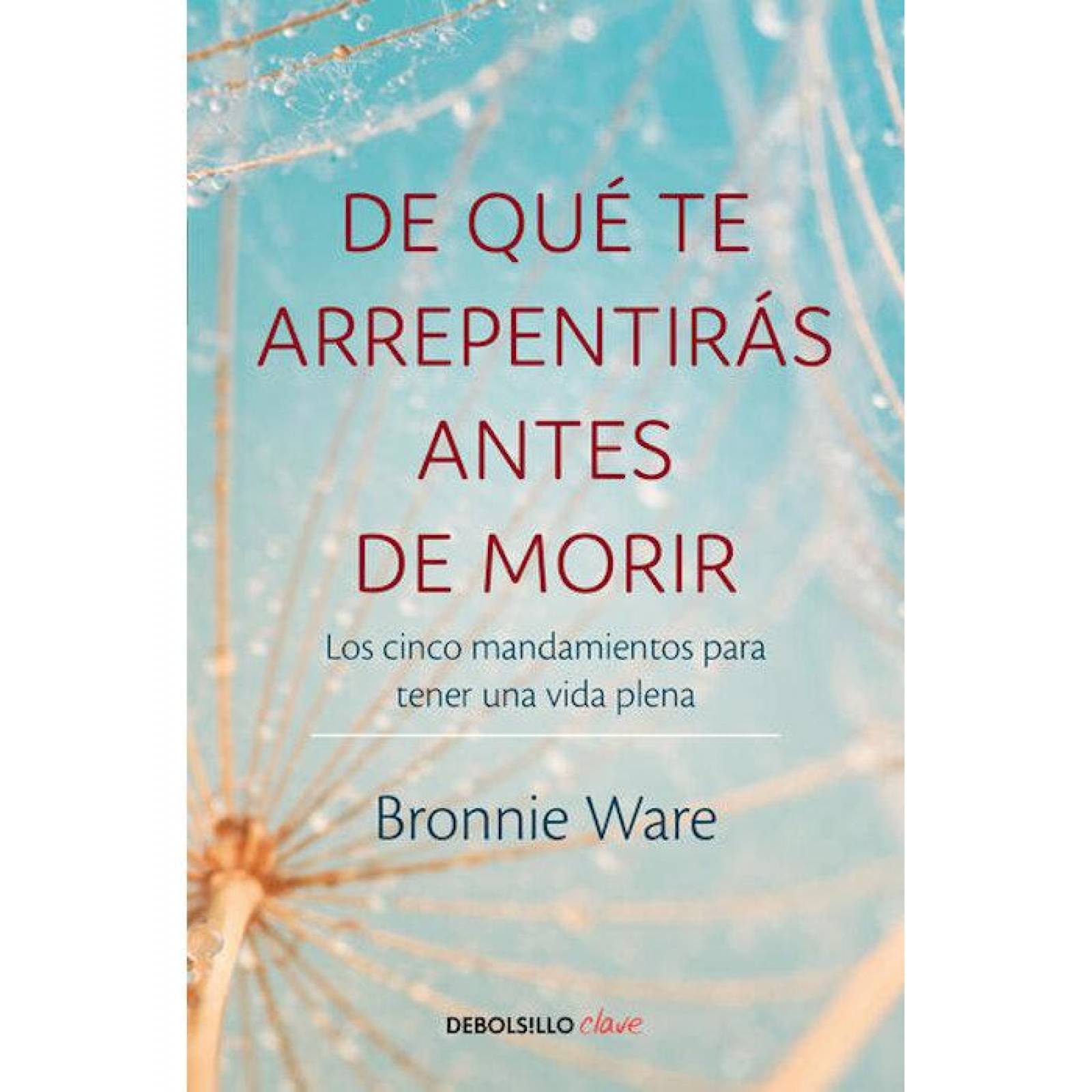 De Que Te Arrepentiras Antes De Morir 