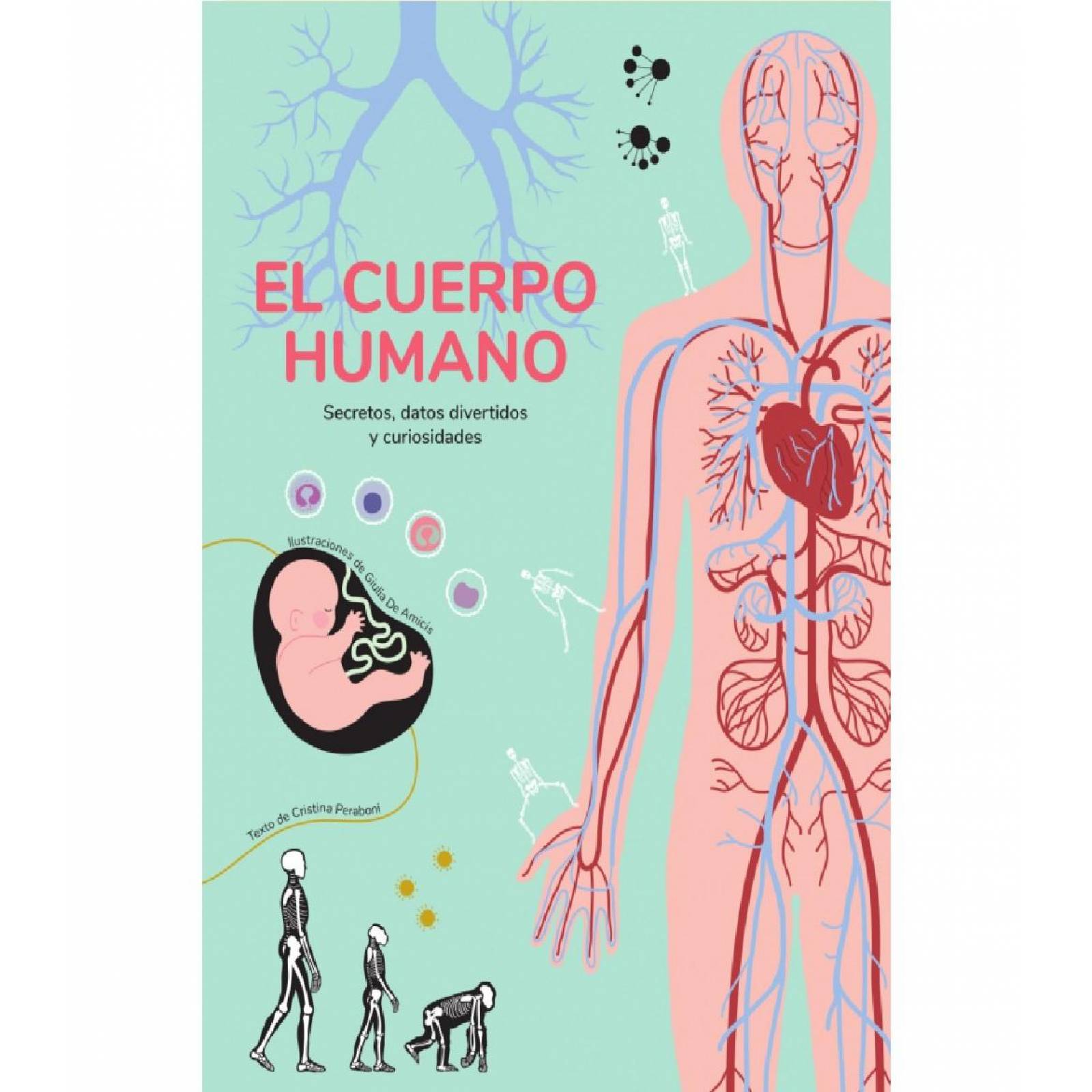 El cuepo Humano 