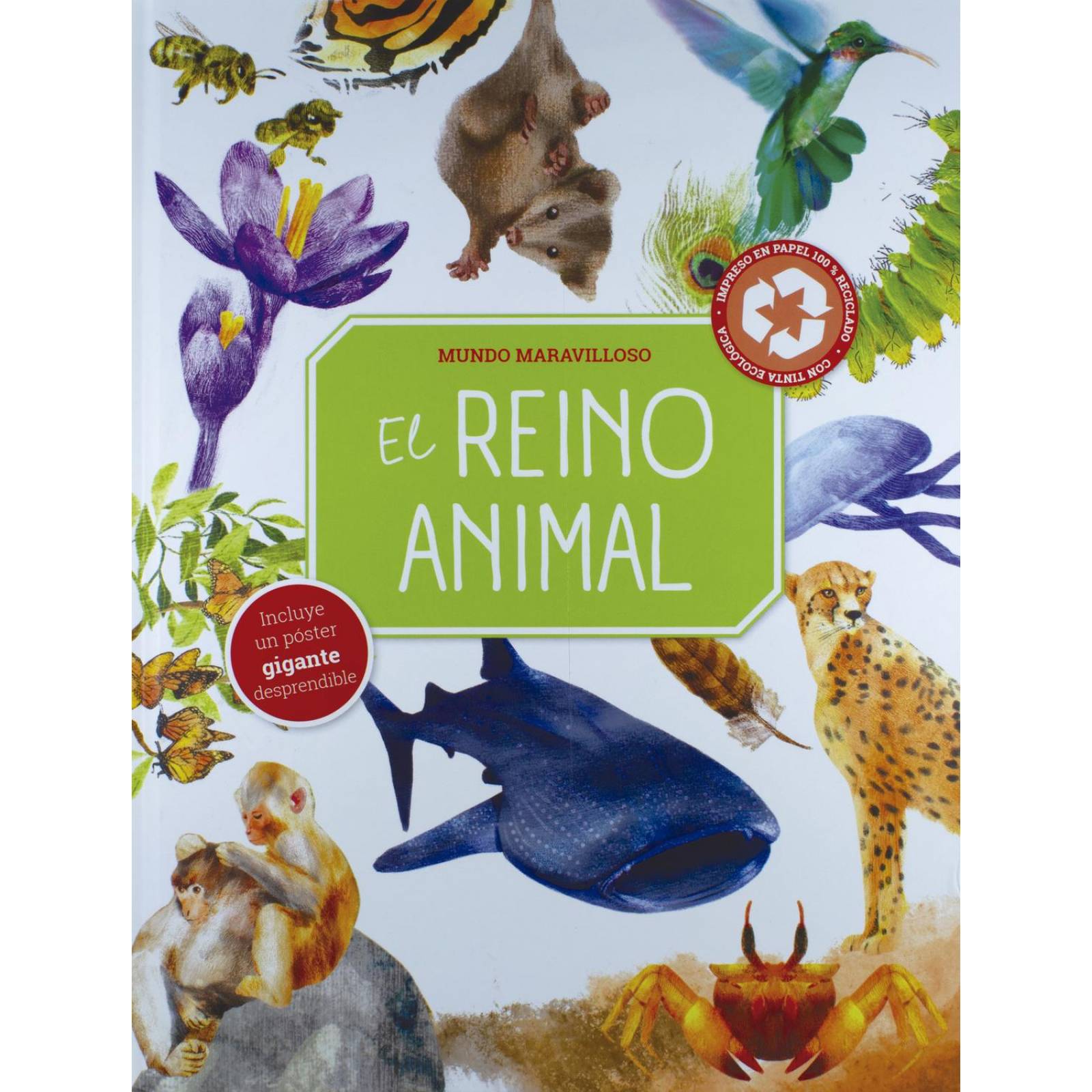 Mundo Maravilloso: El Reino Animal