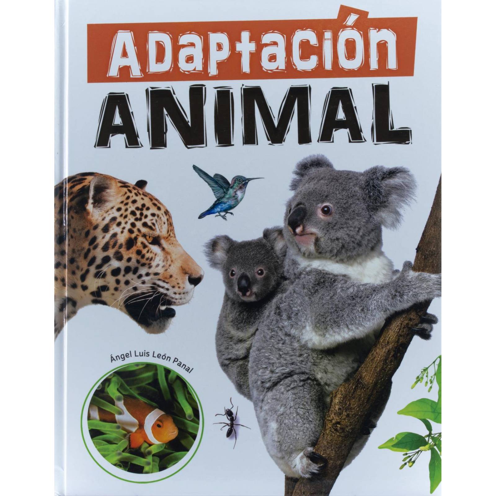 Megafauna: Adaptación Animales 