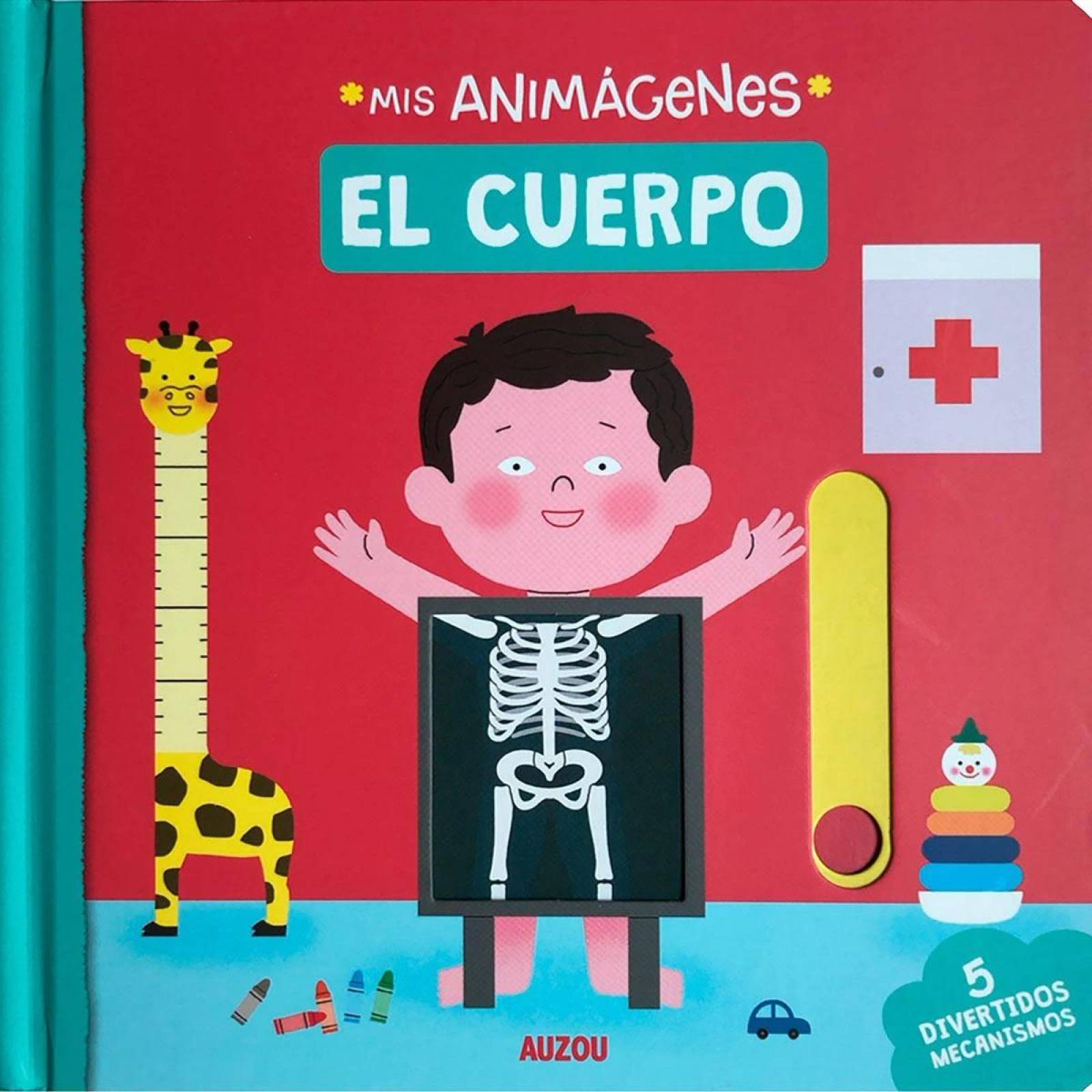 Mis Animágenes El Cuerpo Humano 
