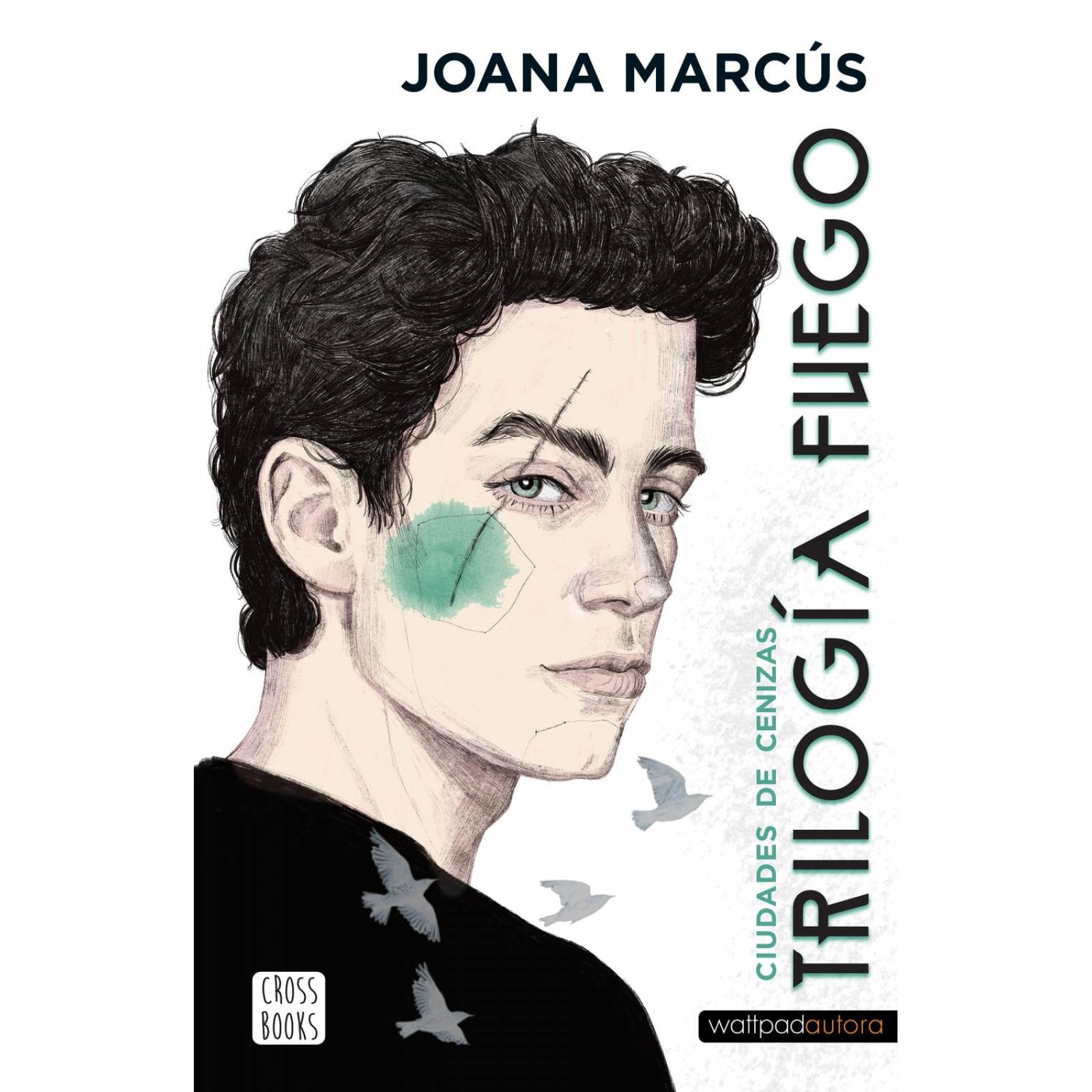 Trilogía Fuego 2. Ciudades de Cenizas 