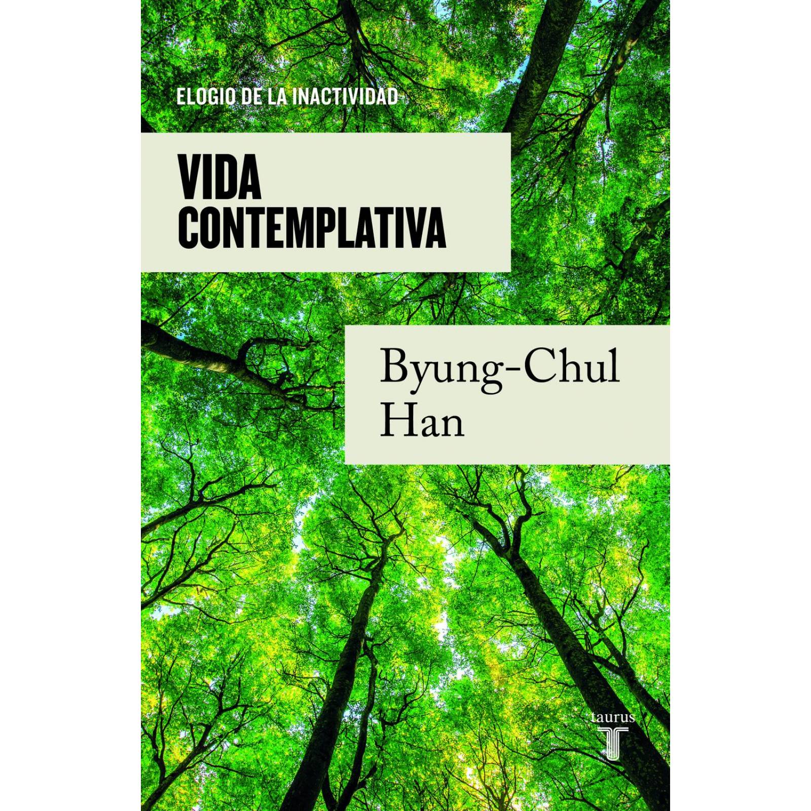 Vida Contemplativa 