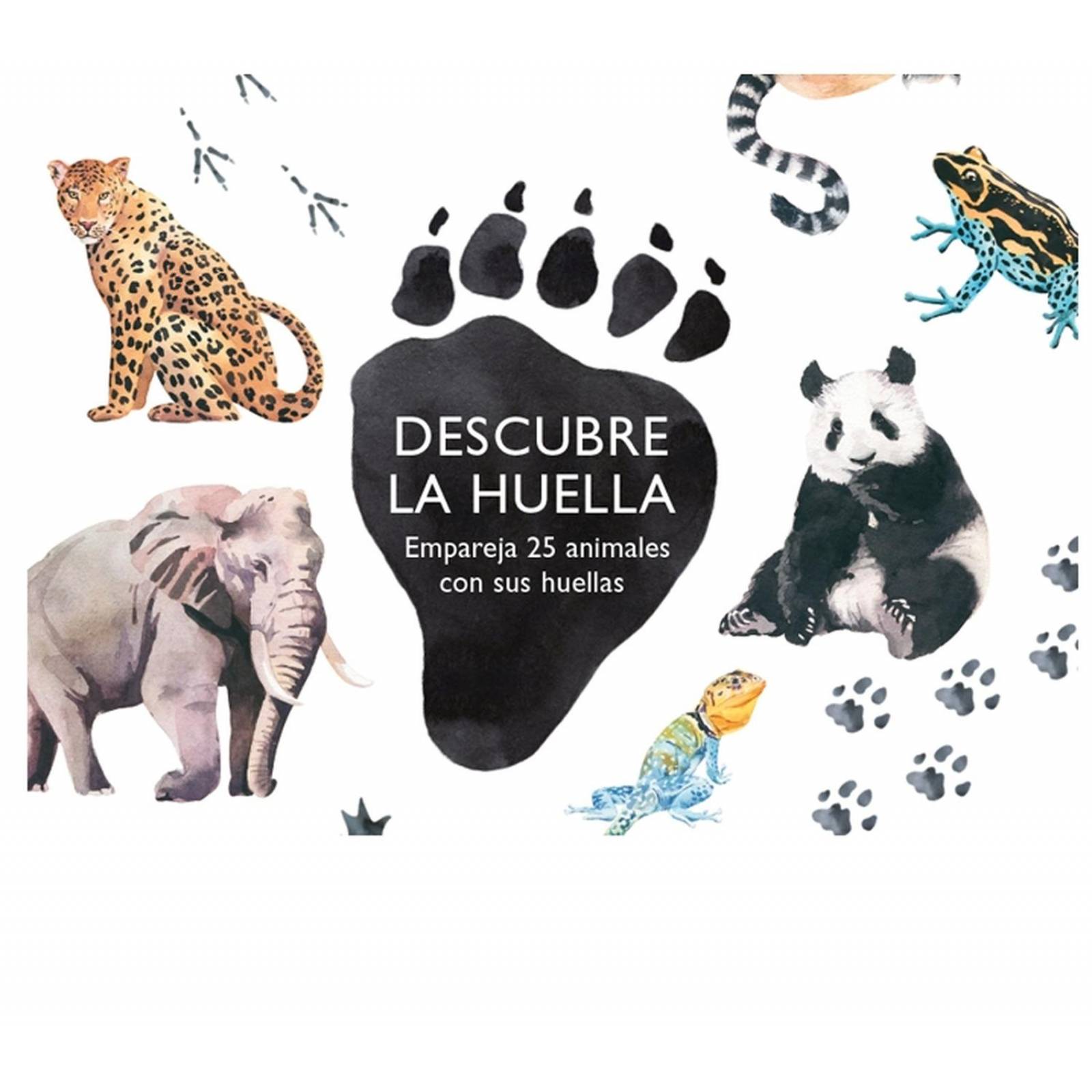 Descubre la Huella 