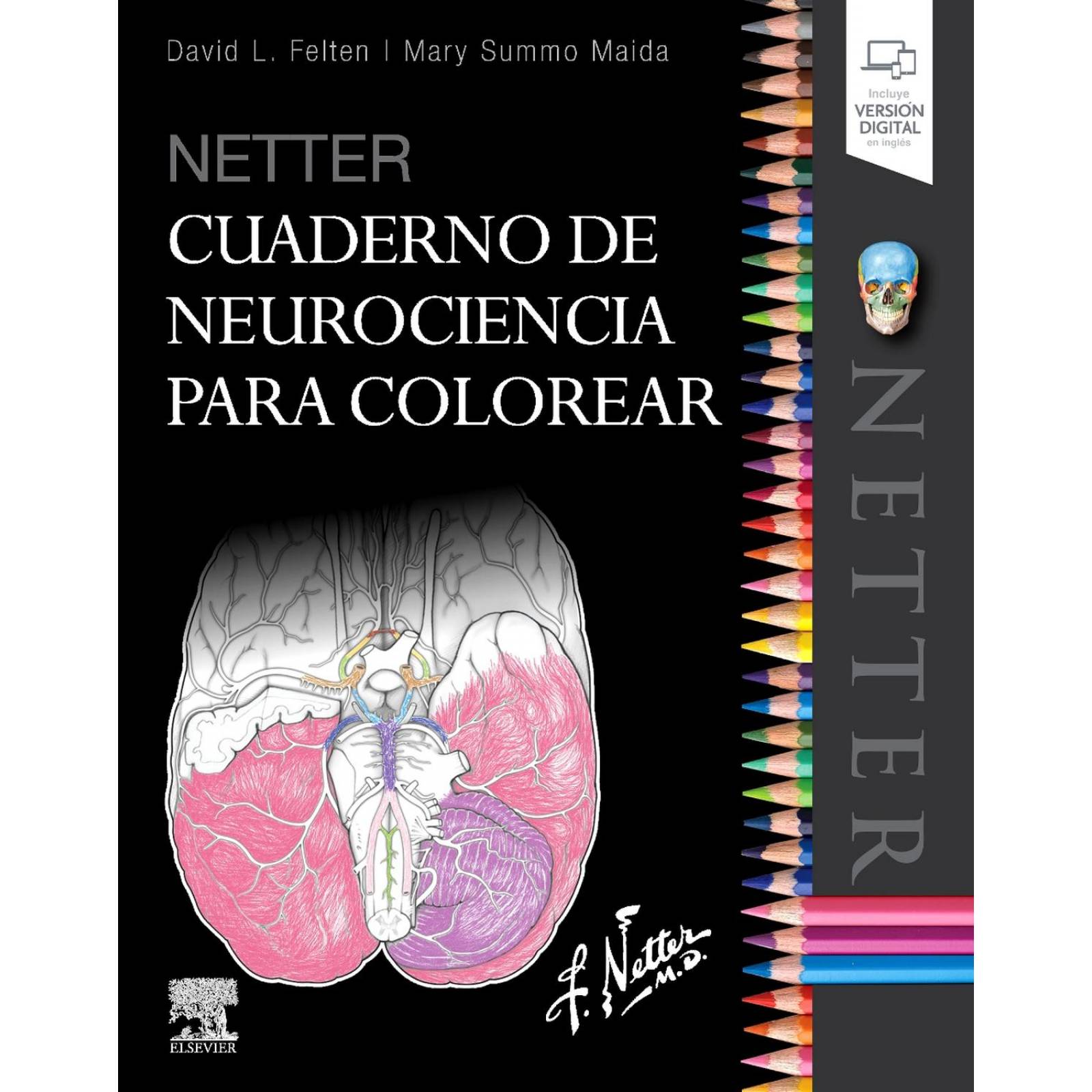 Netter Cuaderno de Neurociencia para Colorear 