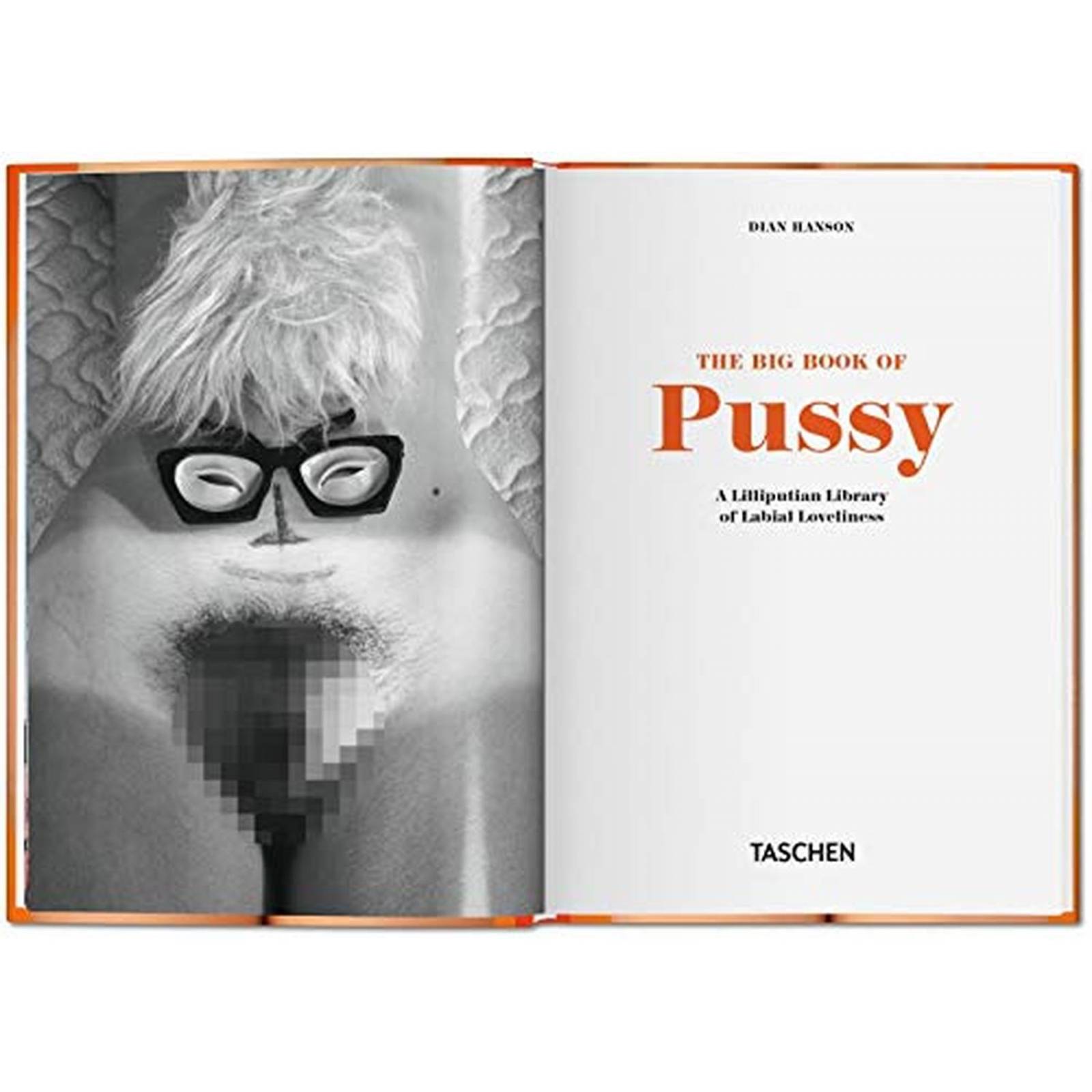 The Little Big Book of Pussy - (Libro en Inglés)
